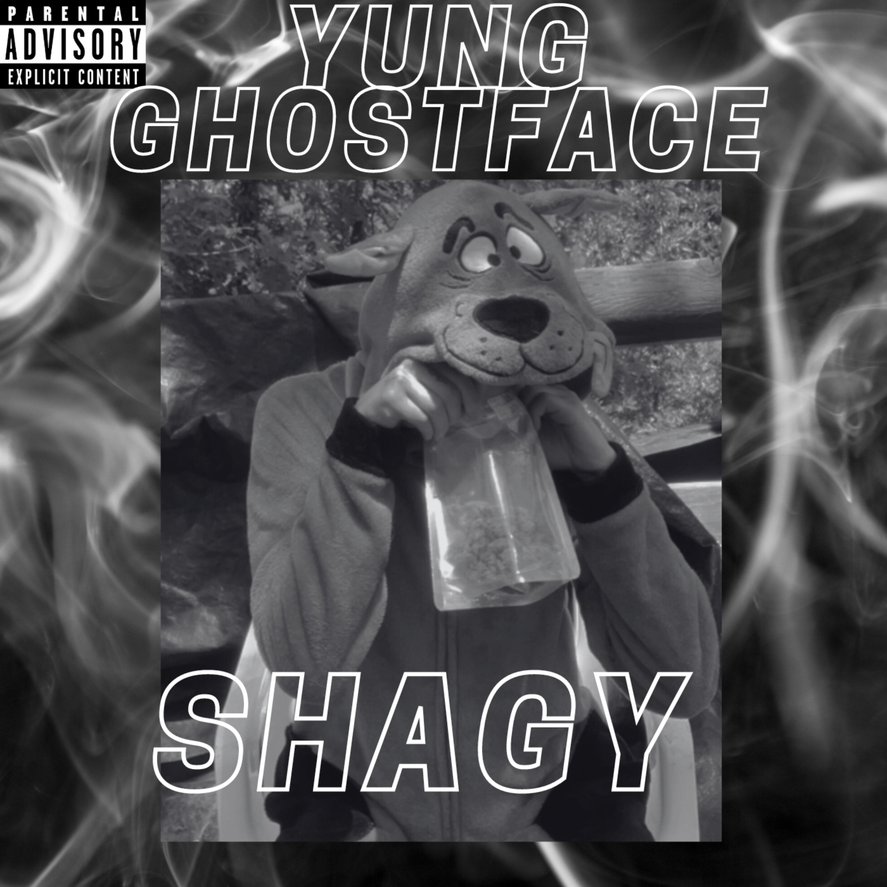 Shagy artwork
