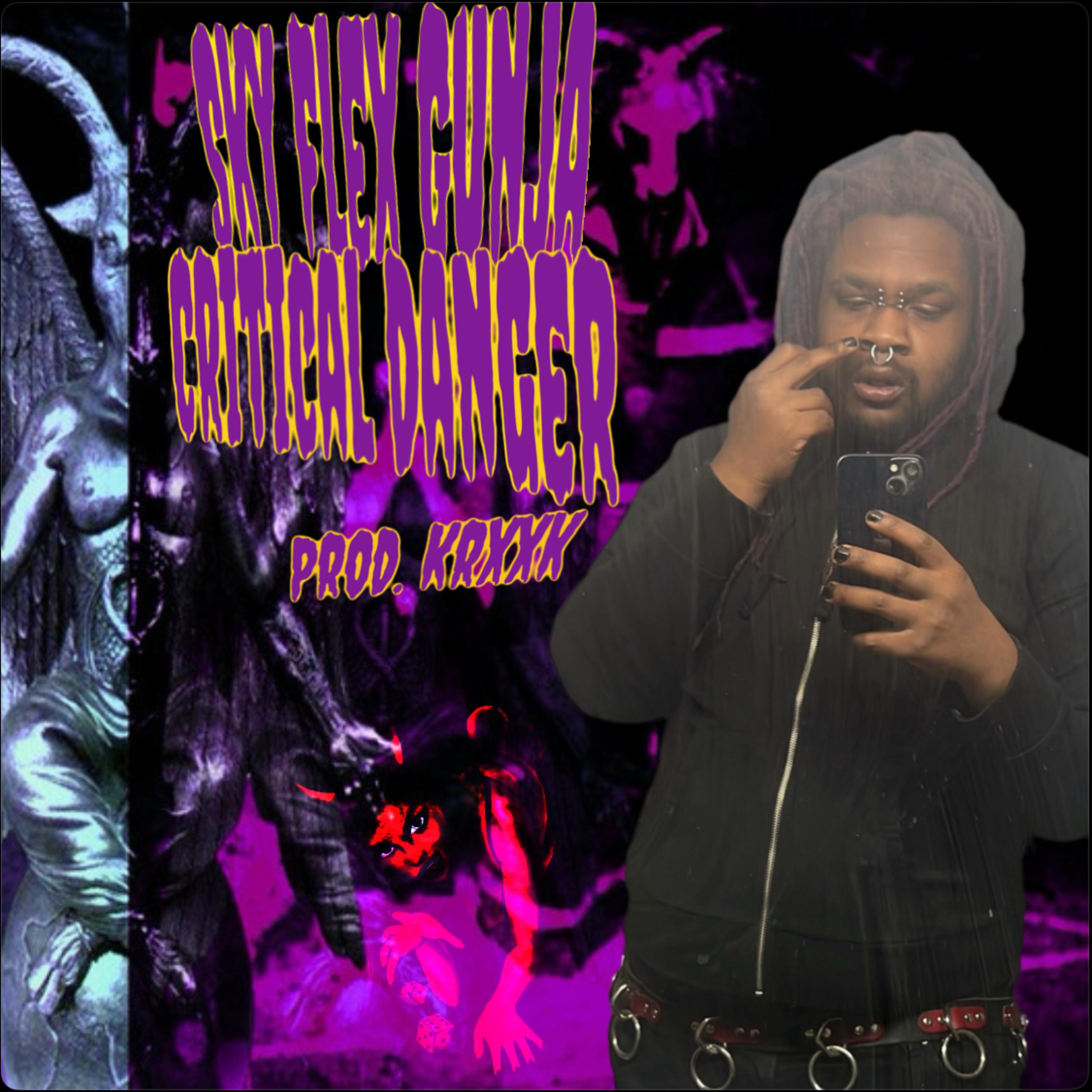 Critical Danger artwork