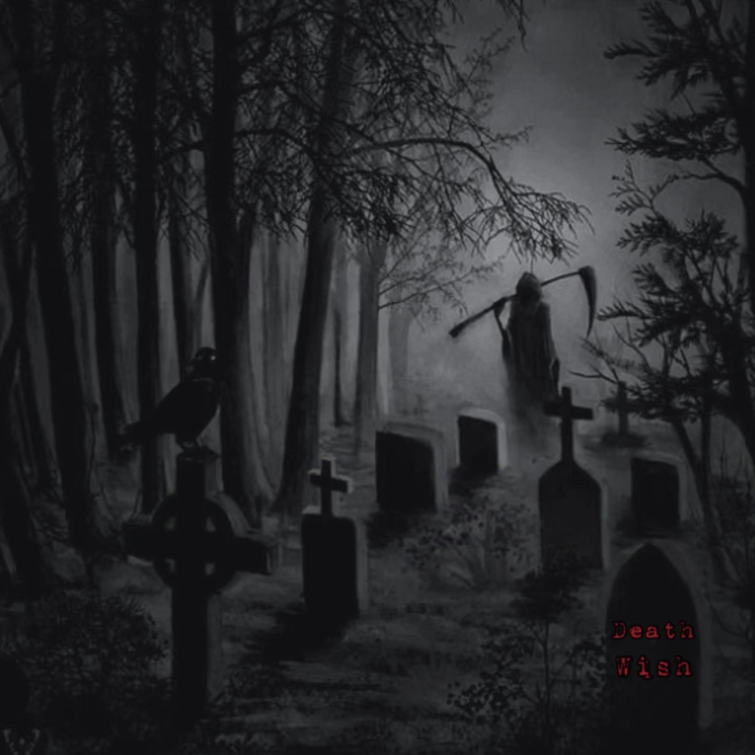 DeathWish by TF Moneyy cover art