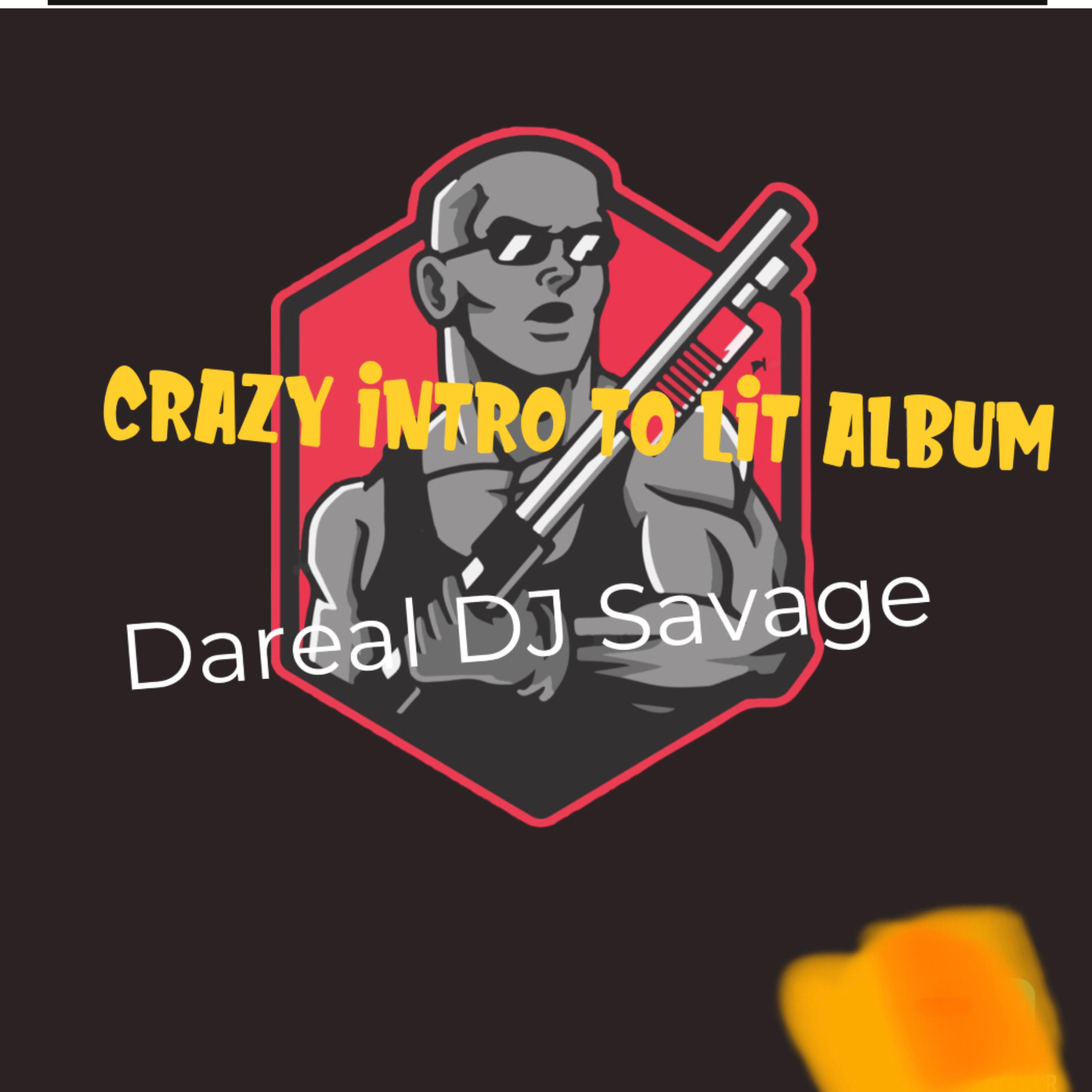 CRAZY INTRO TO LIT ALBUM artwork