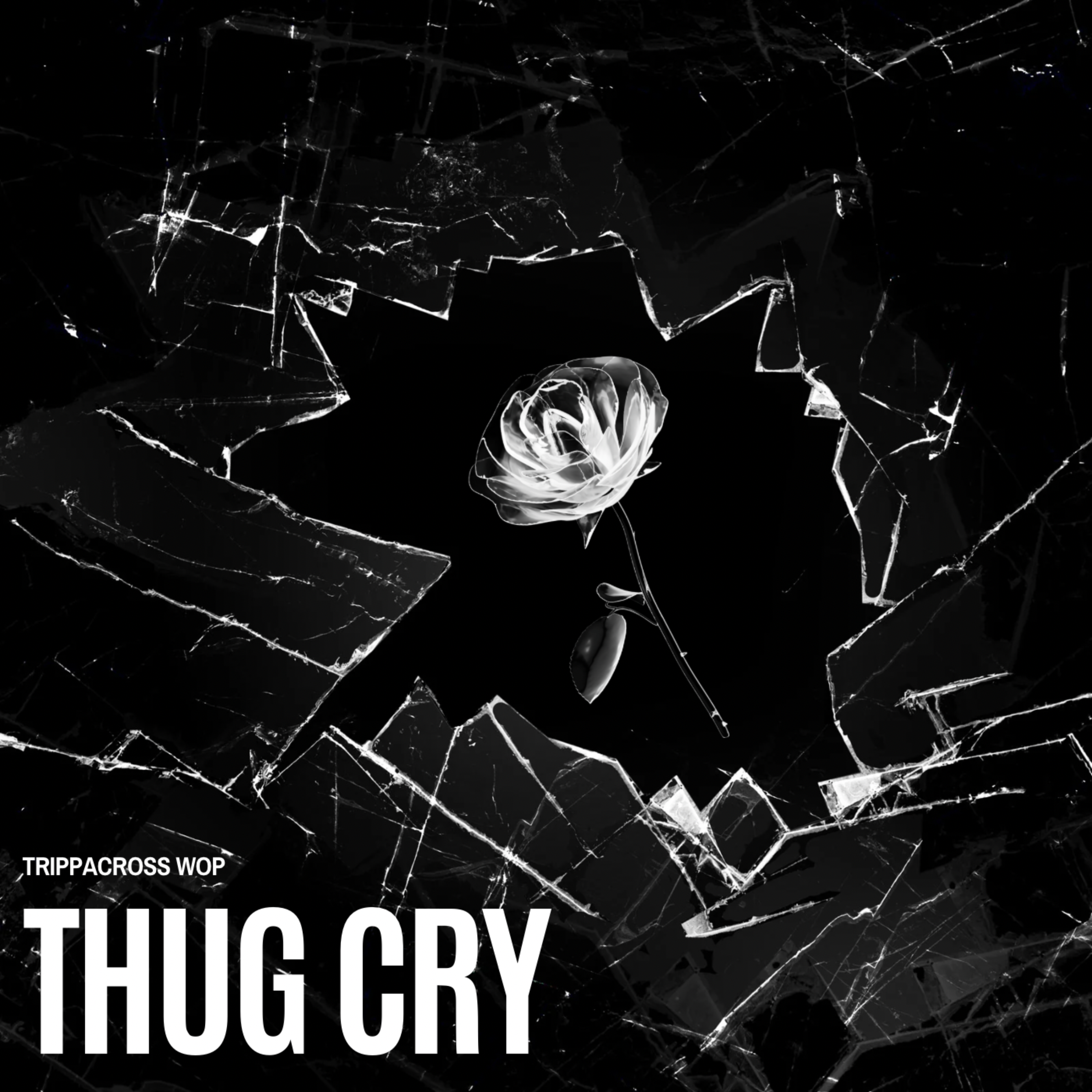 Thug Cry artwork