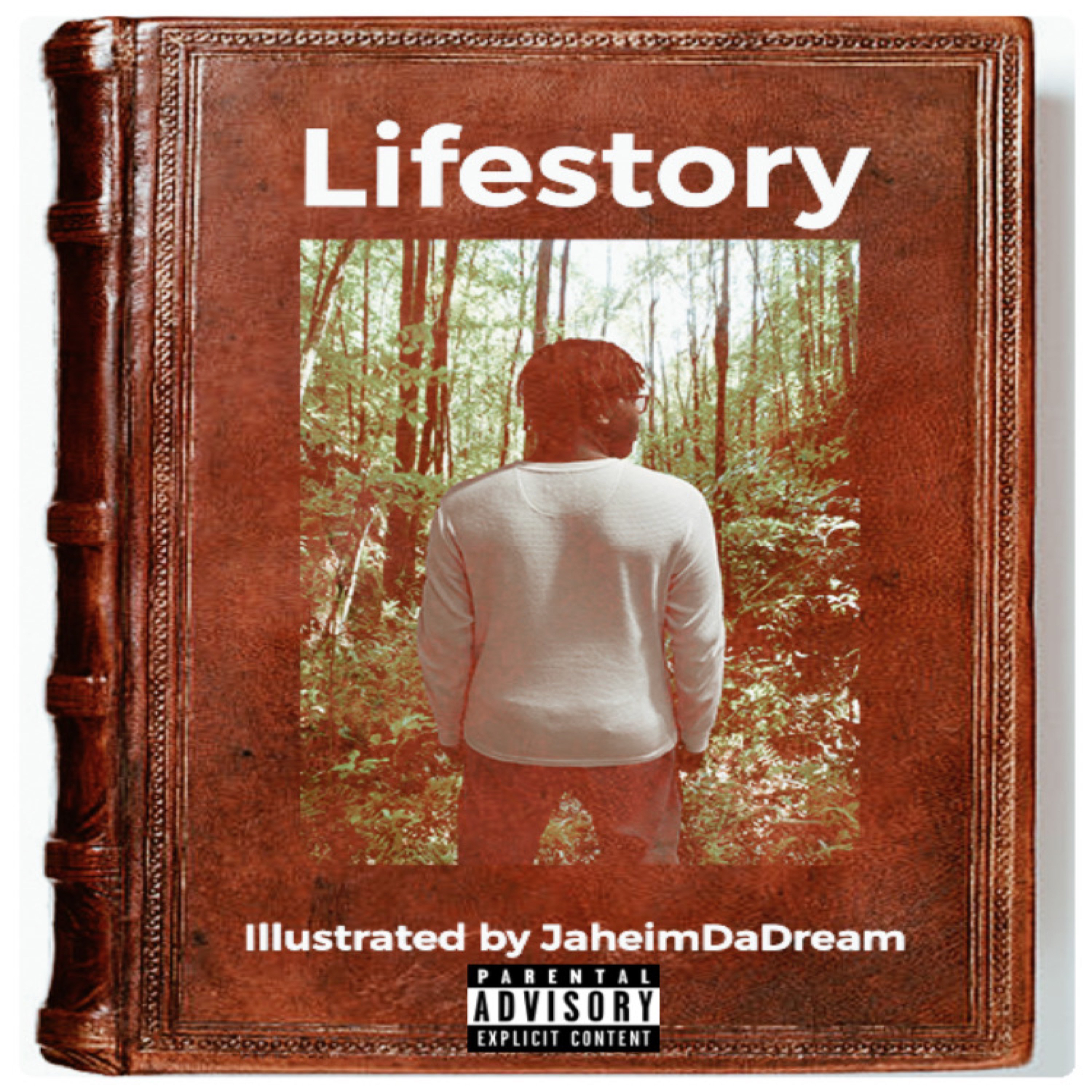 Lifestory artwork