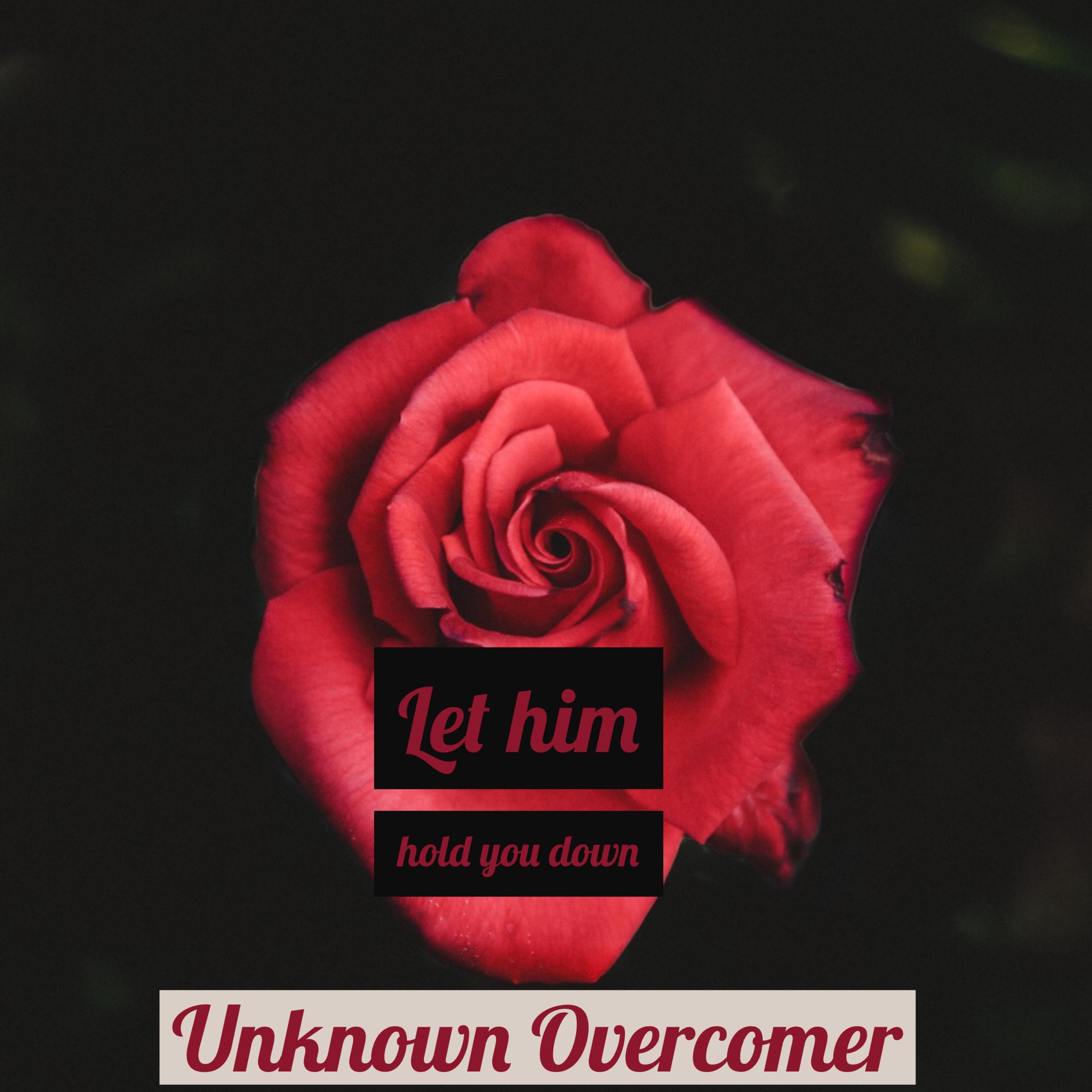 Let Him Hold You Down artwork