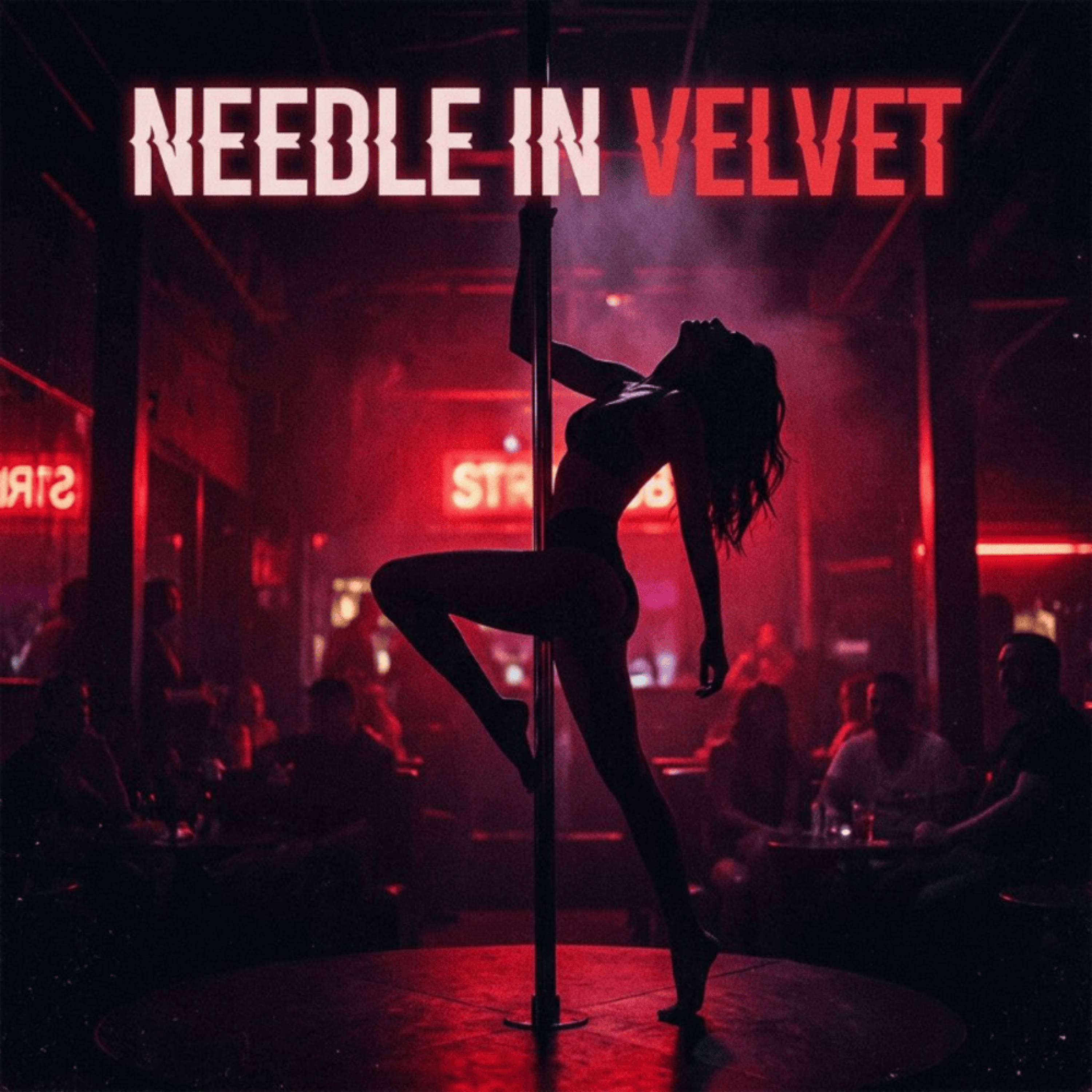 Needle in Velvet by Life's Grand Deception cover art