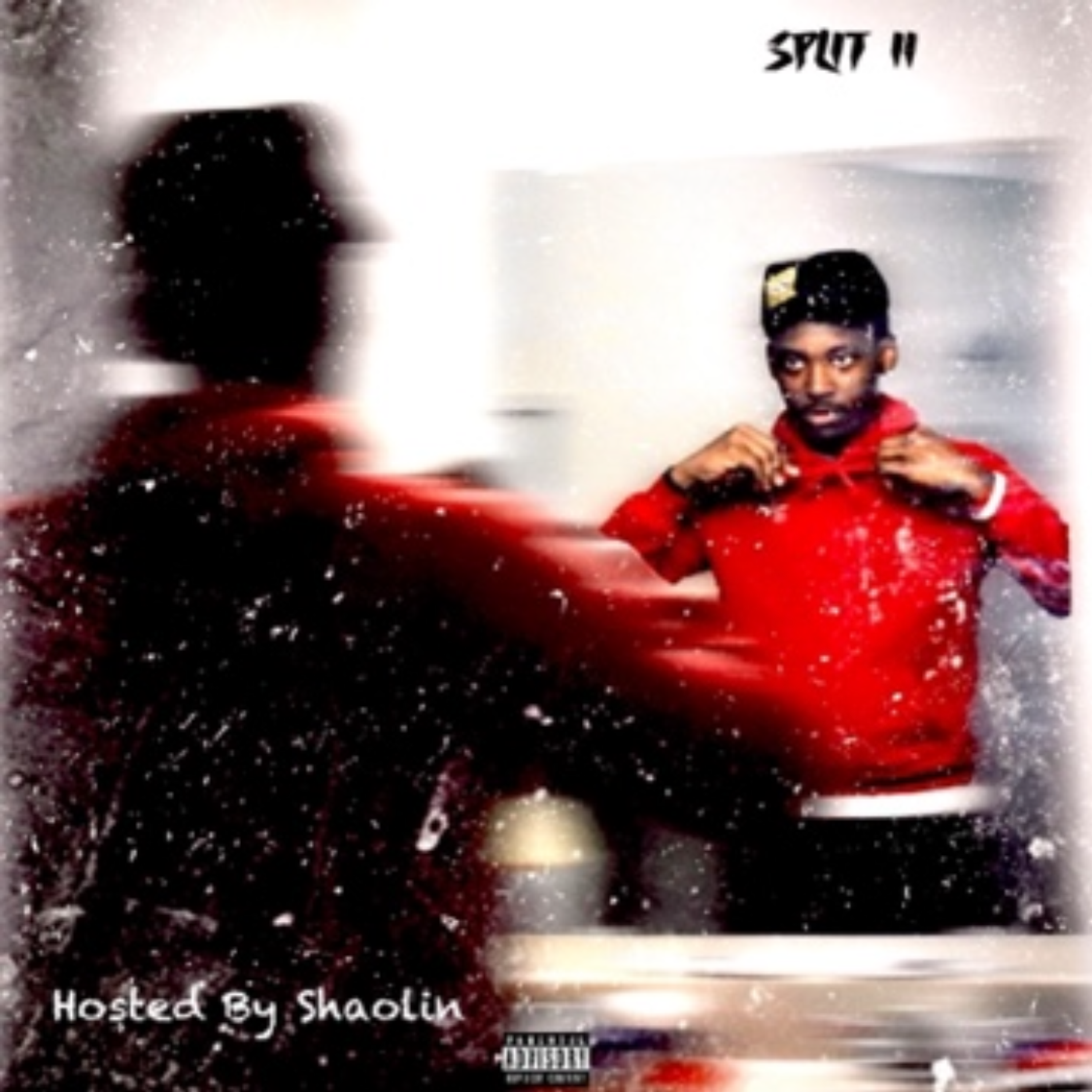 SPLIT II artwork