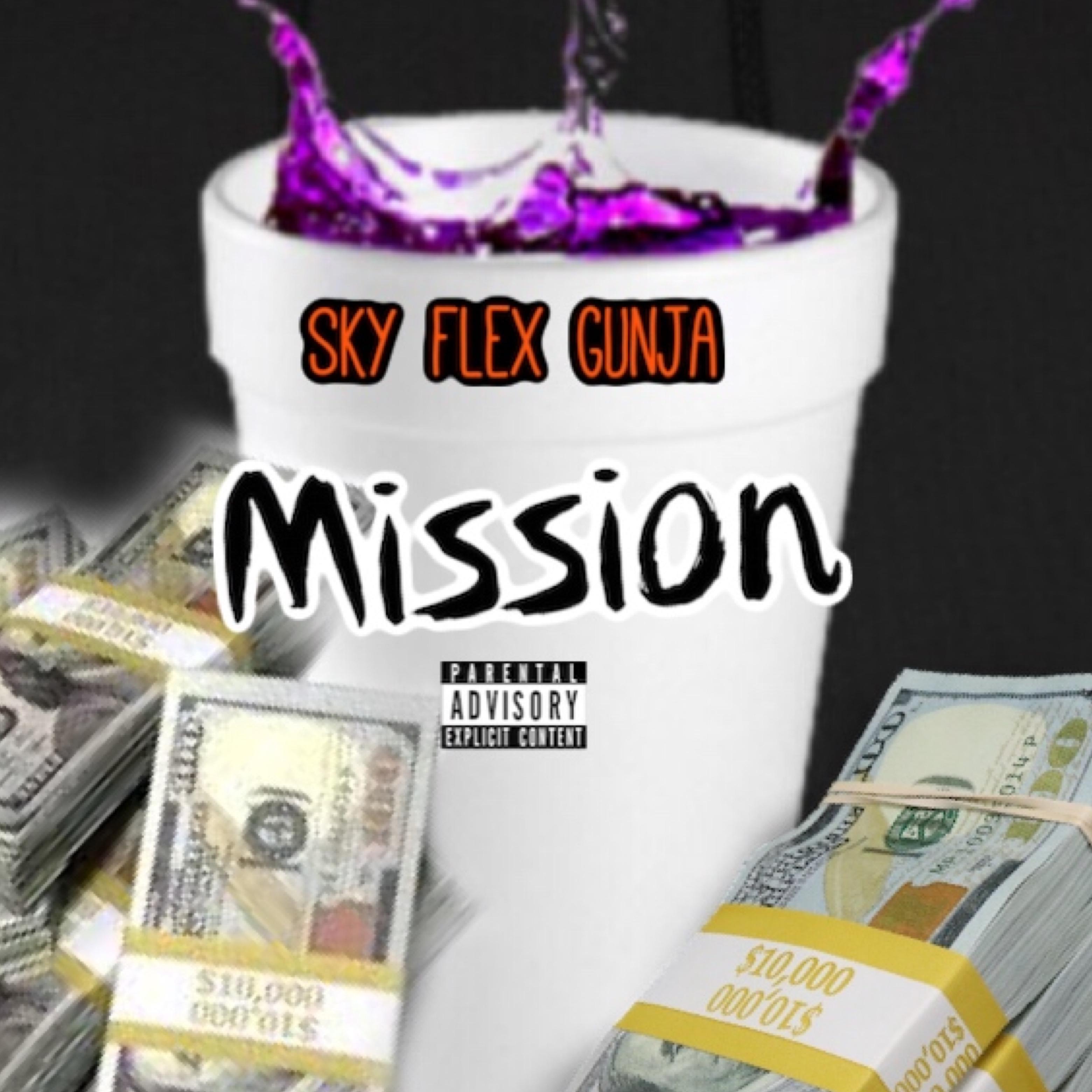Mission artwork