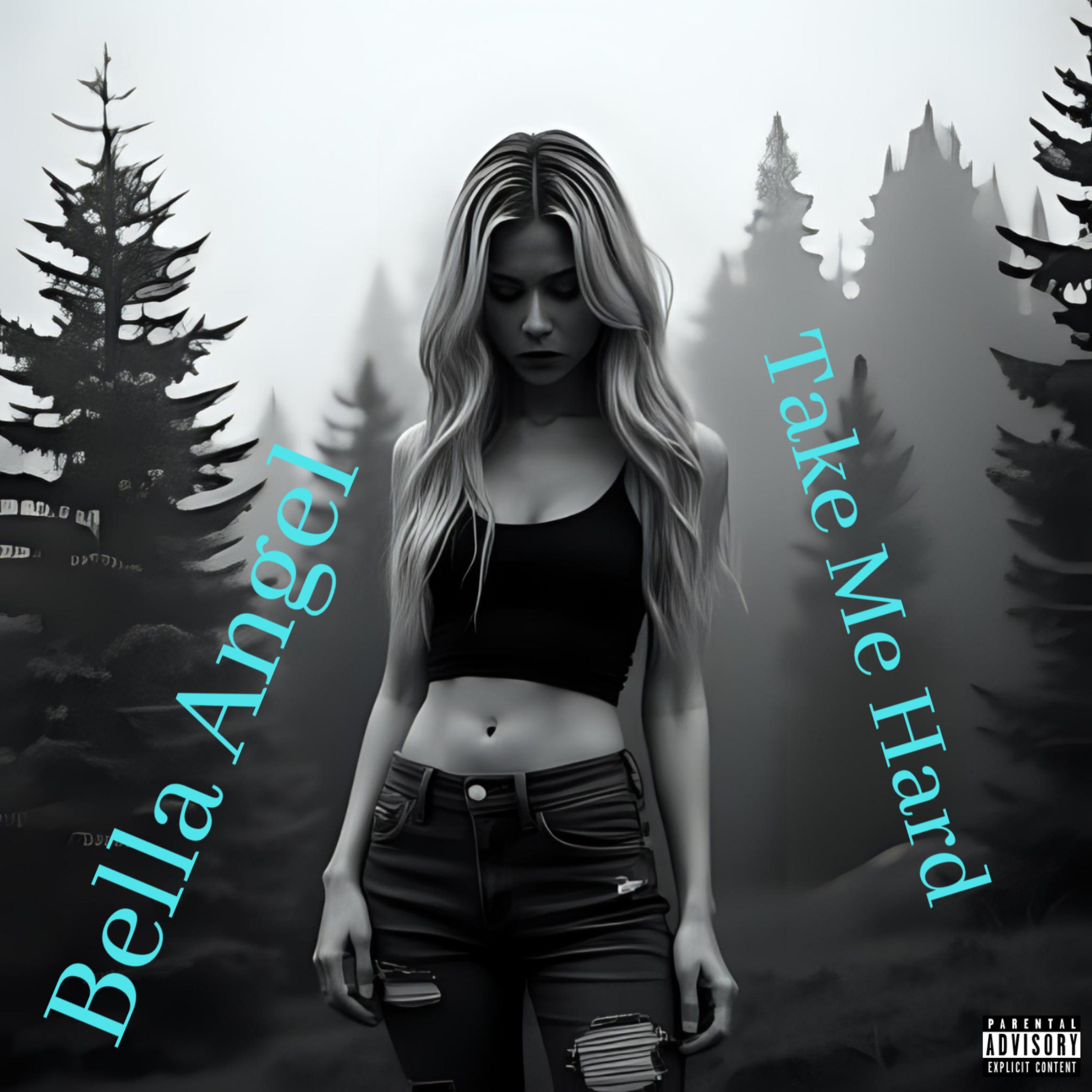 take me hard artwork