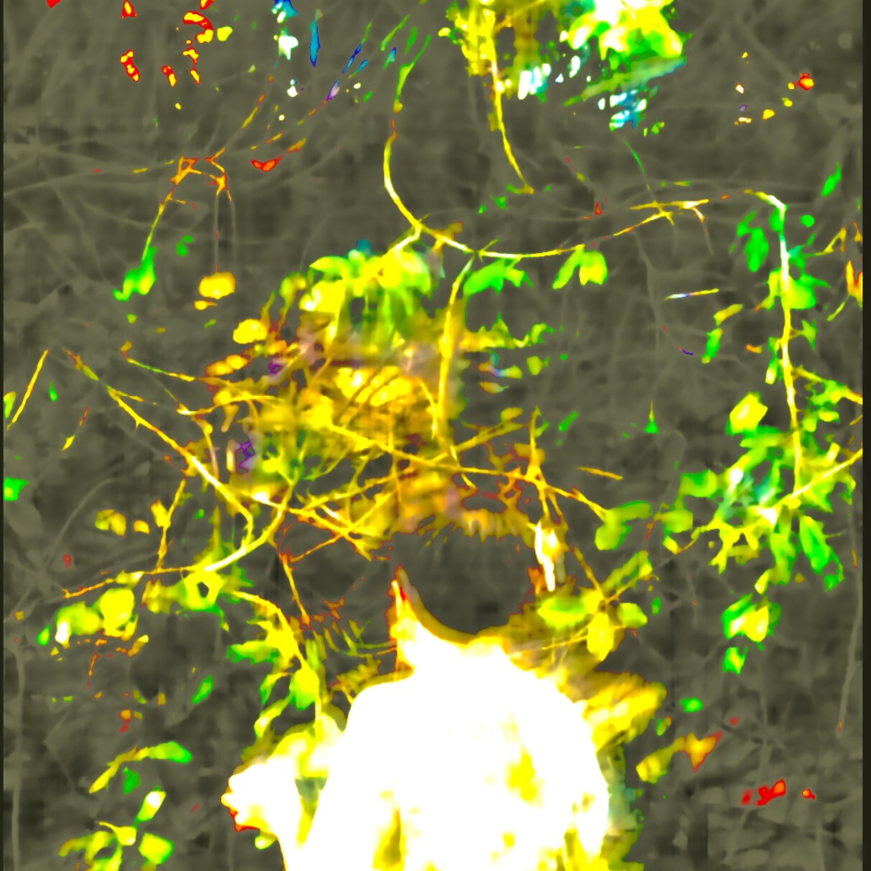 no by nebnebx cover art