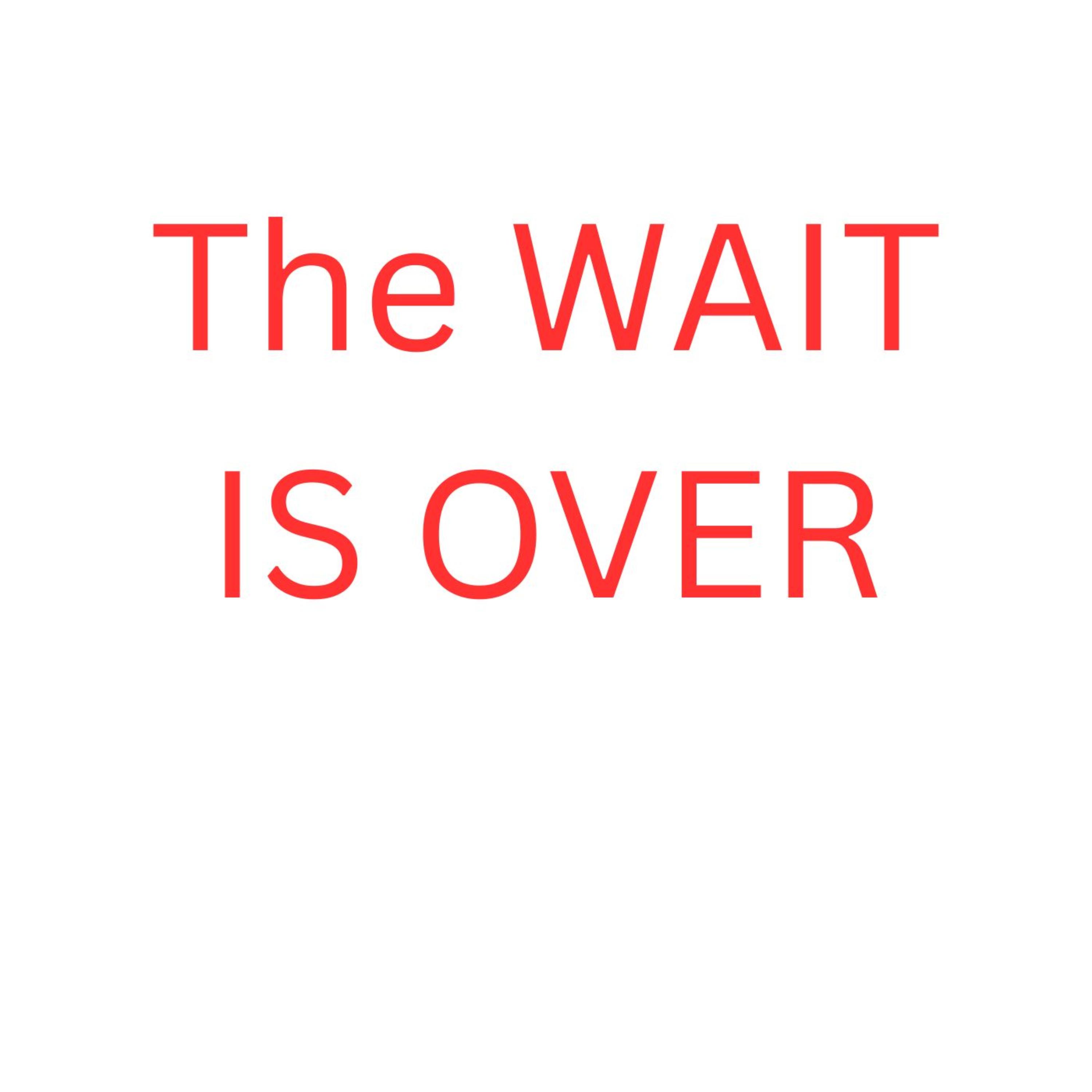 The Wait Is Over artwork