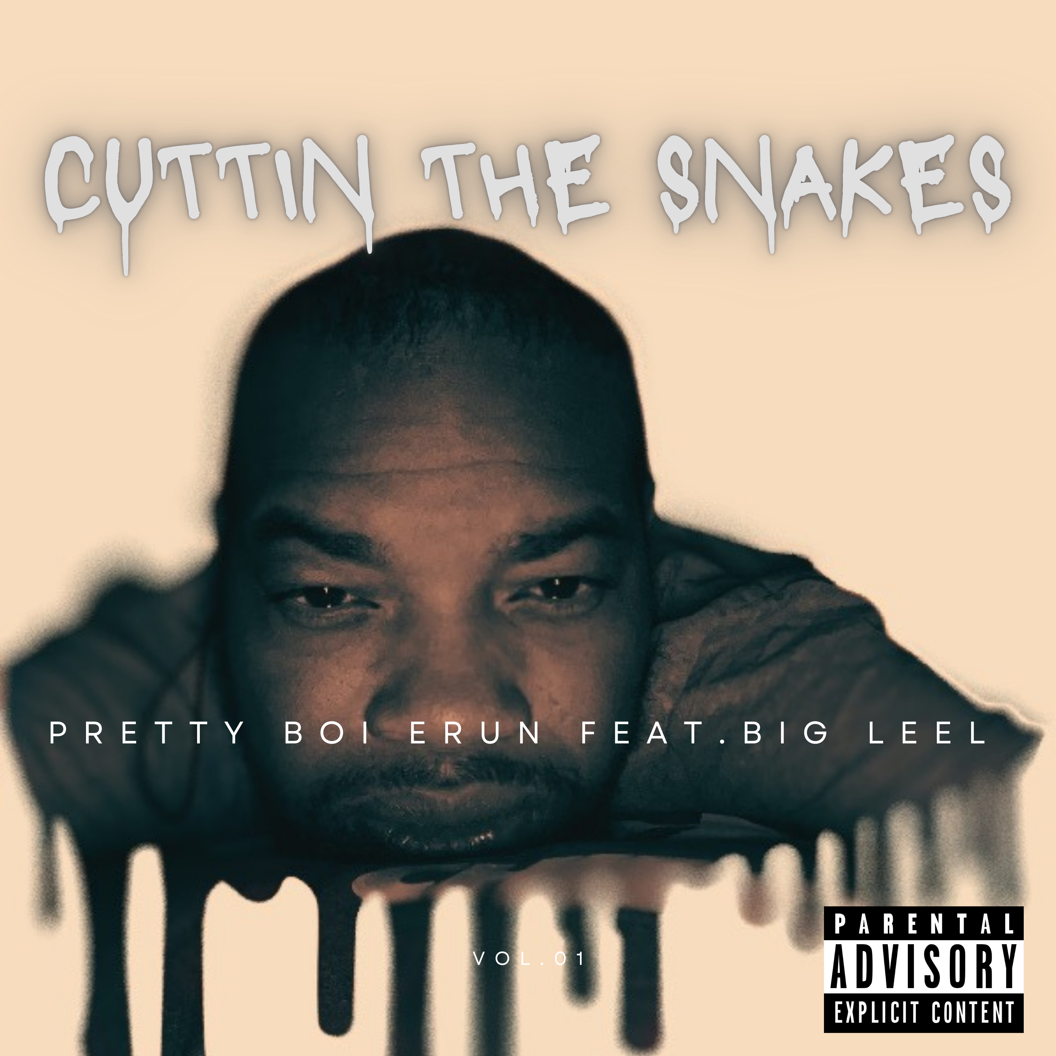 Cutting The Snakes artwork