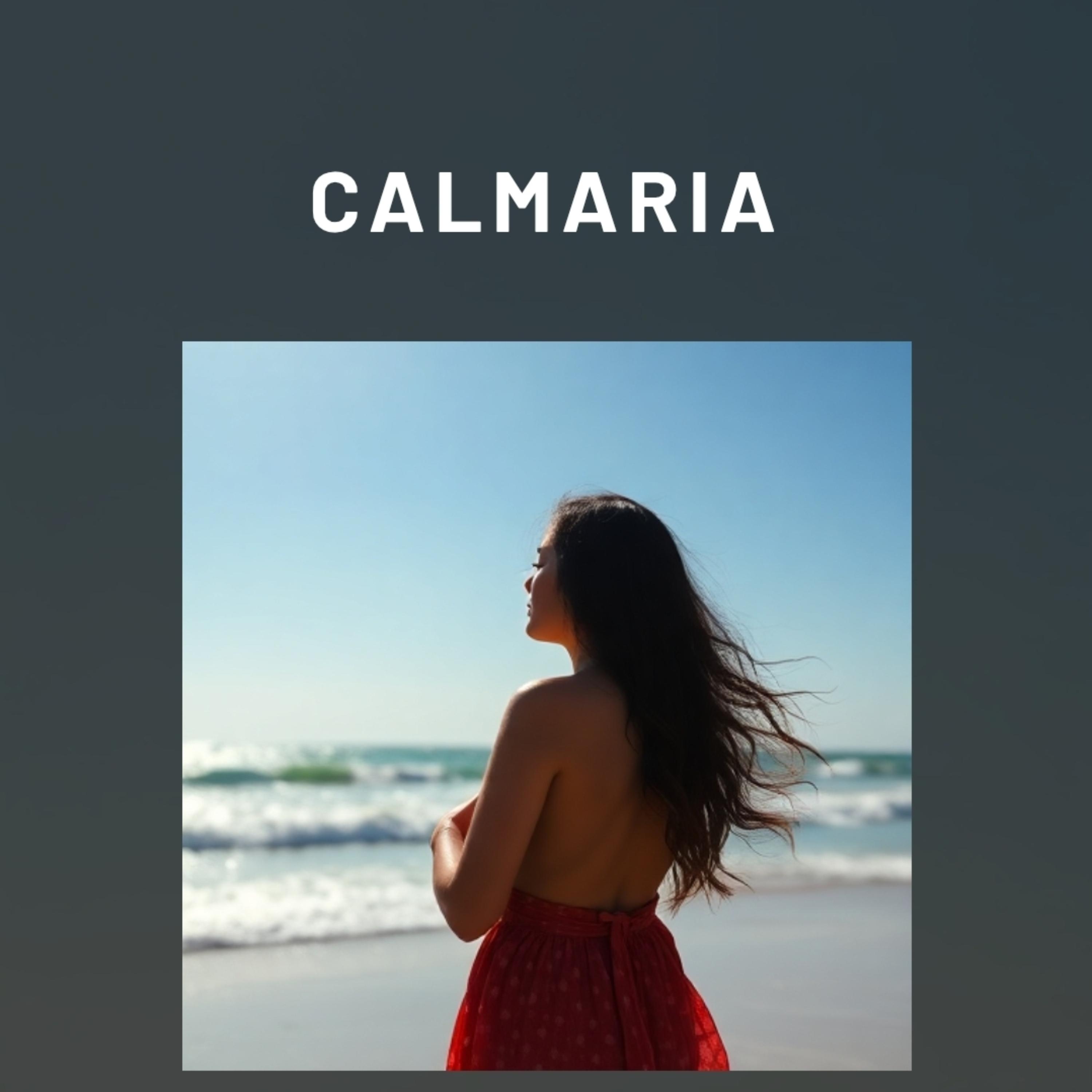 Calmaria. artwork