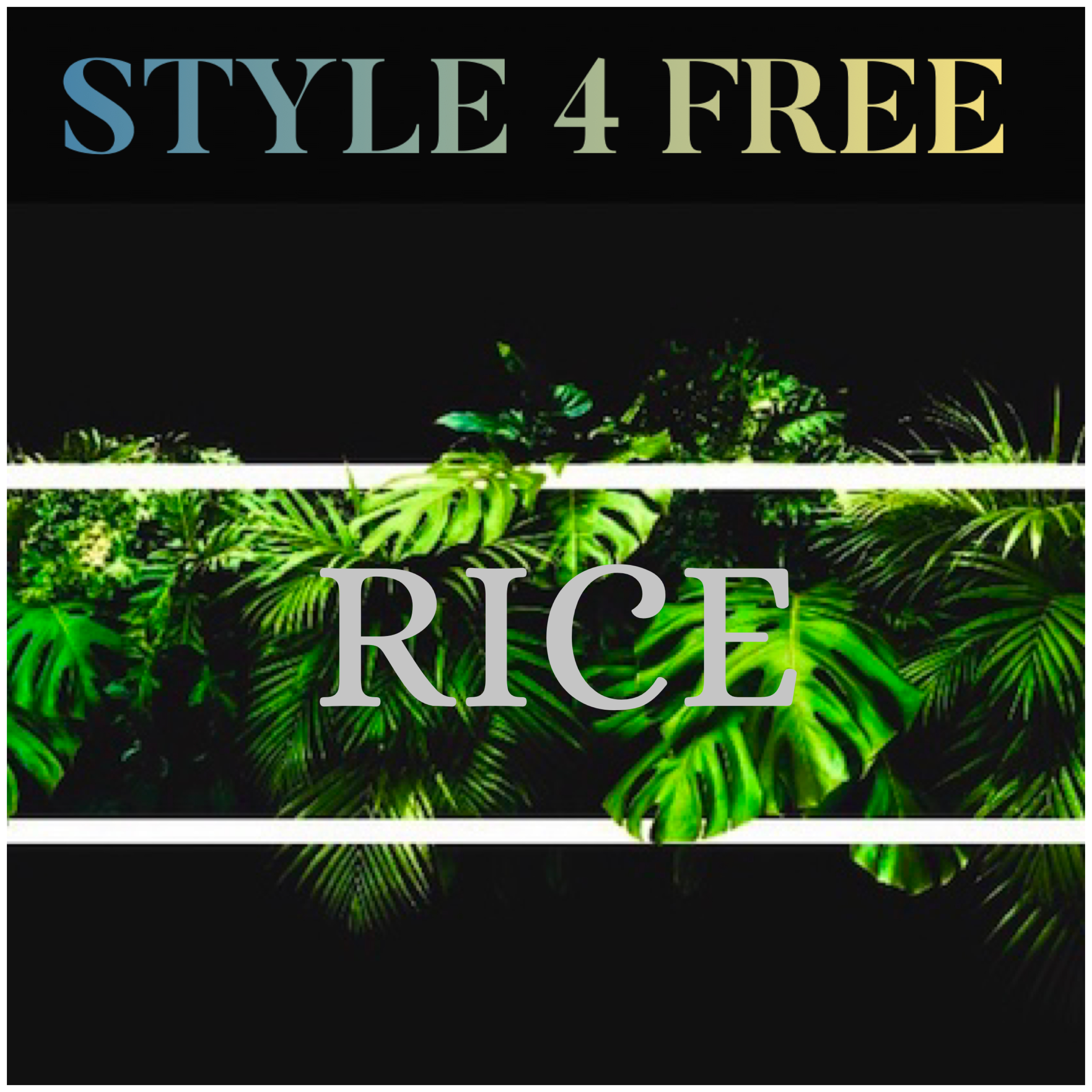 Style 4 Free artwork