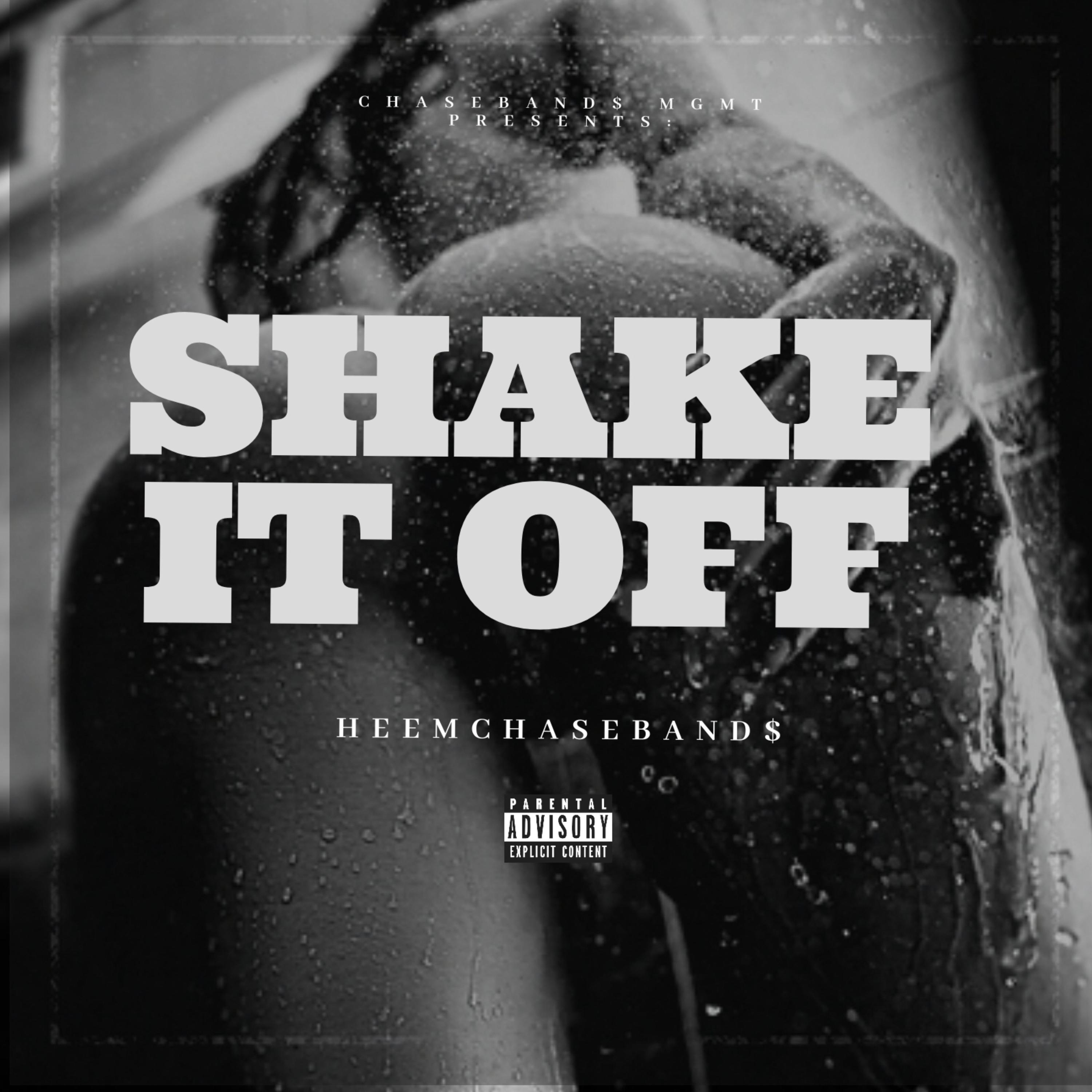 Shake It Off artwork