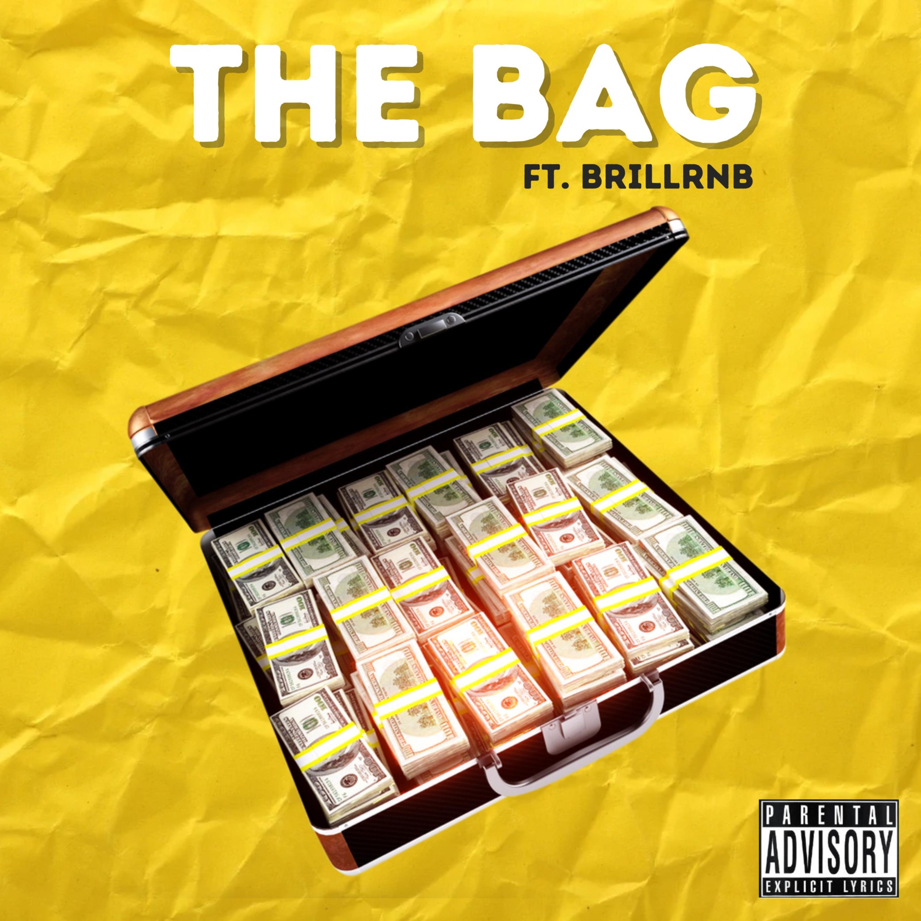 The Bag by Aaron Goode cover art