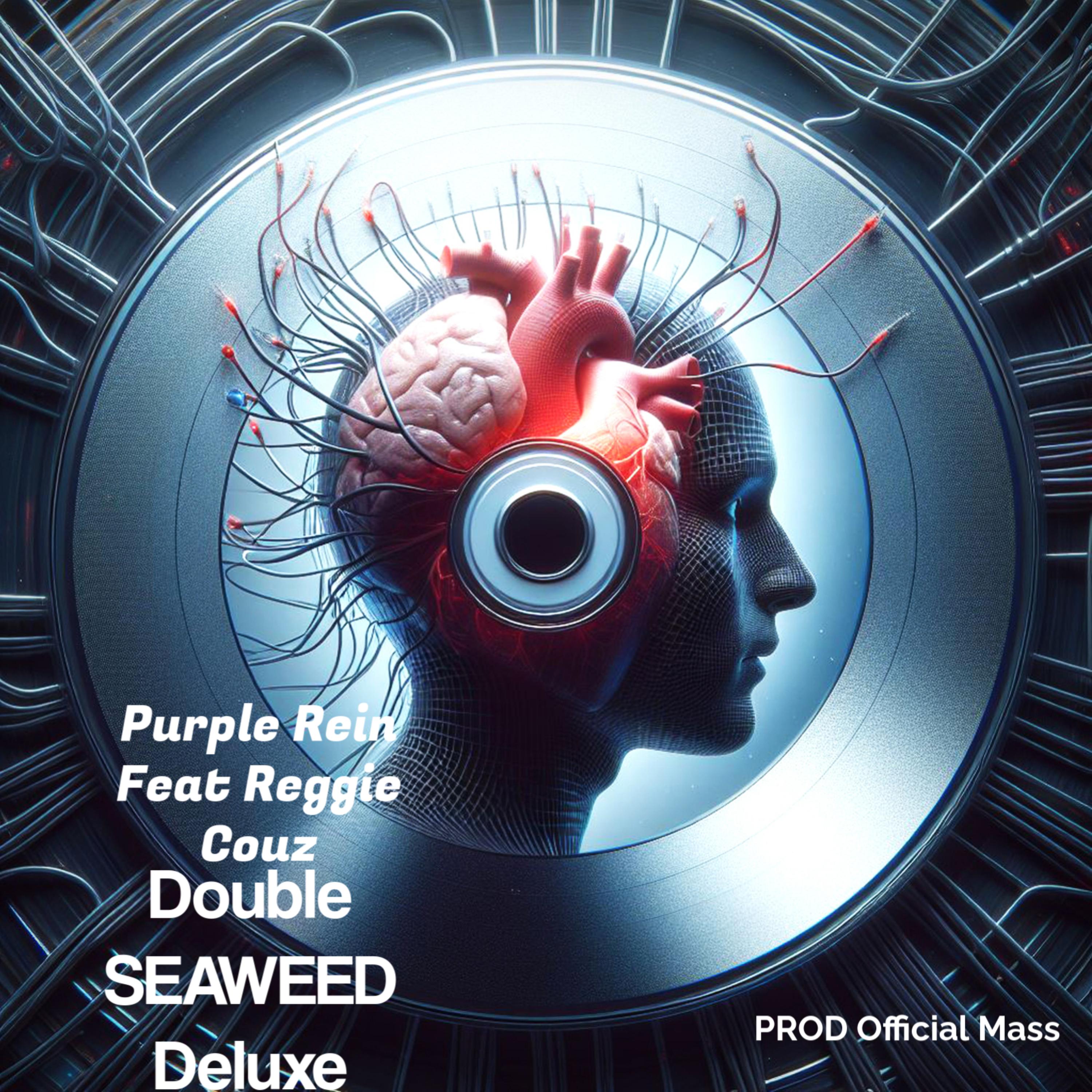Double Seaweed Deluxe artwork