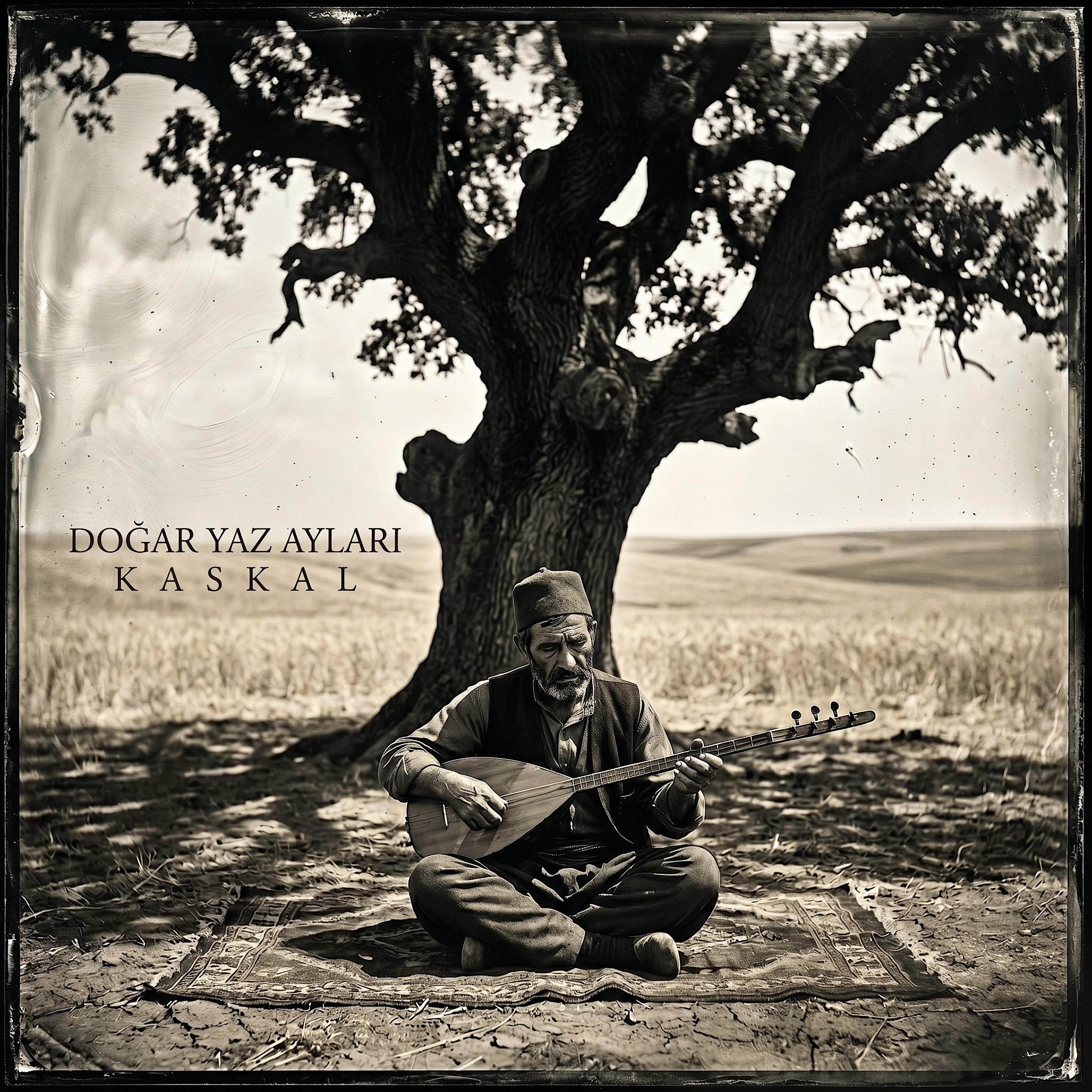 Doğar Yaz Ayları artwork