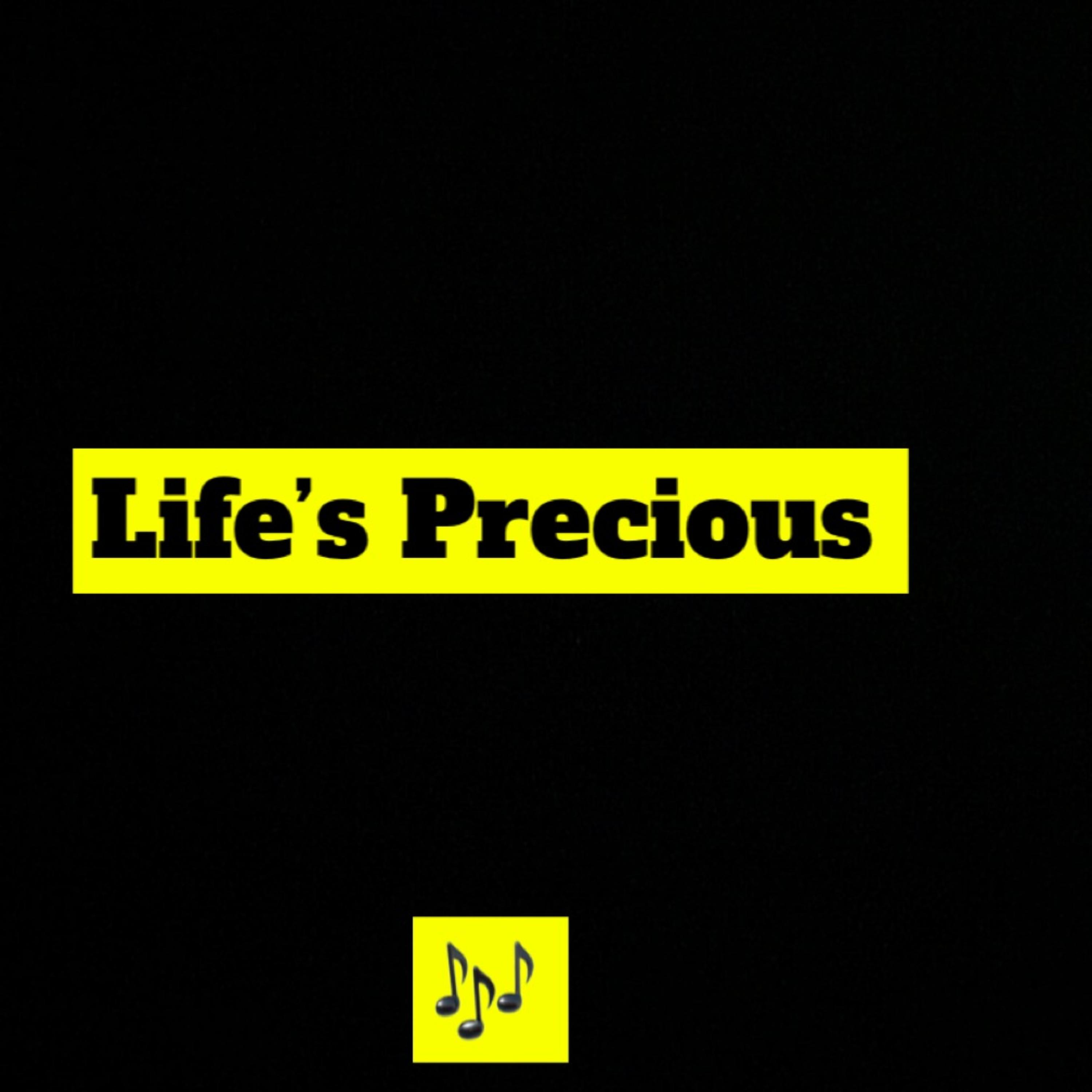Life’s Precious artwork