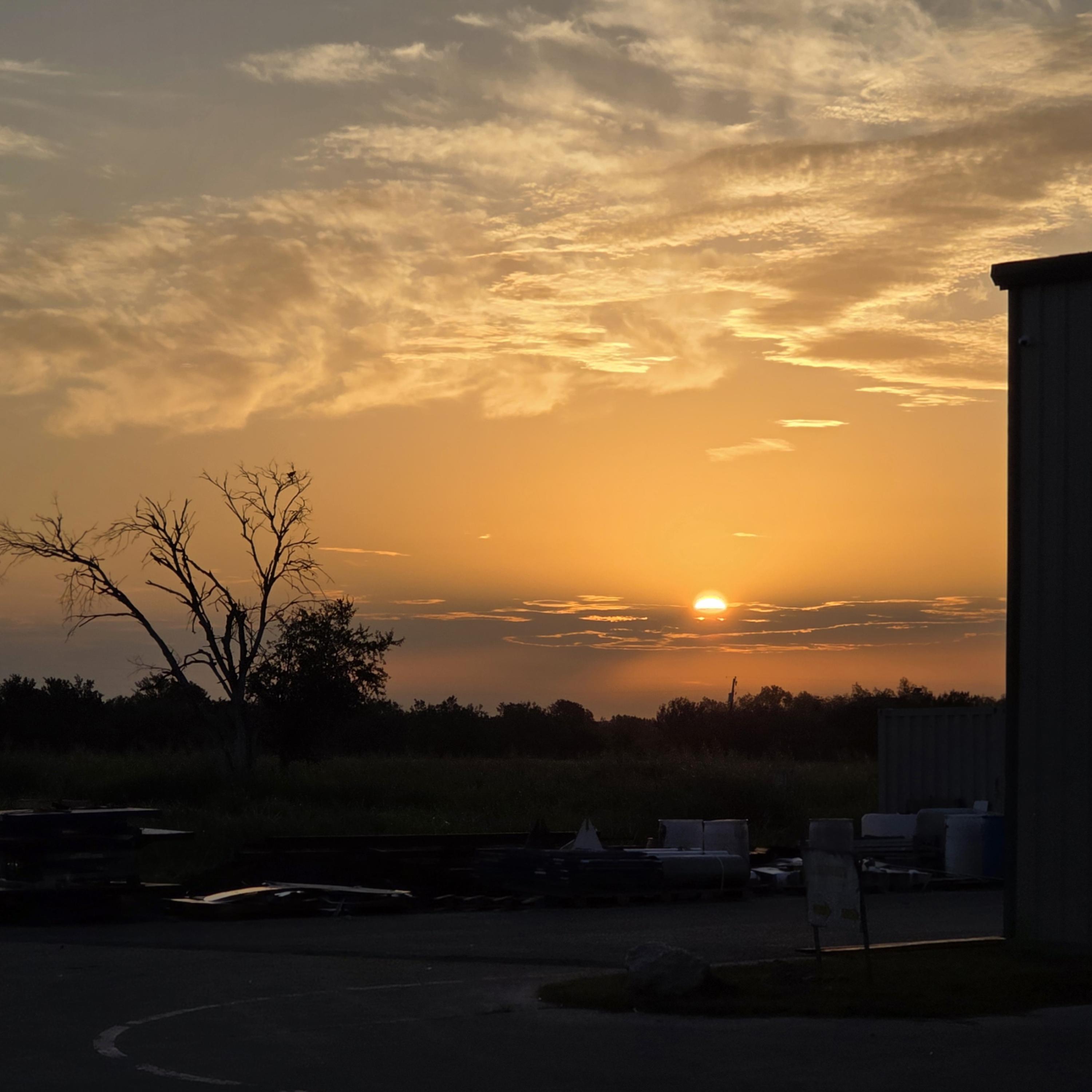 Feel Your Love Tonight artwork