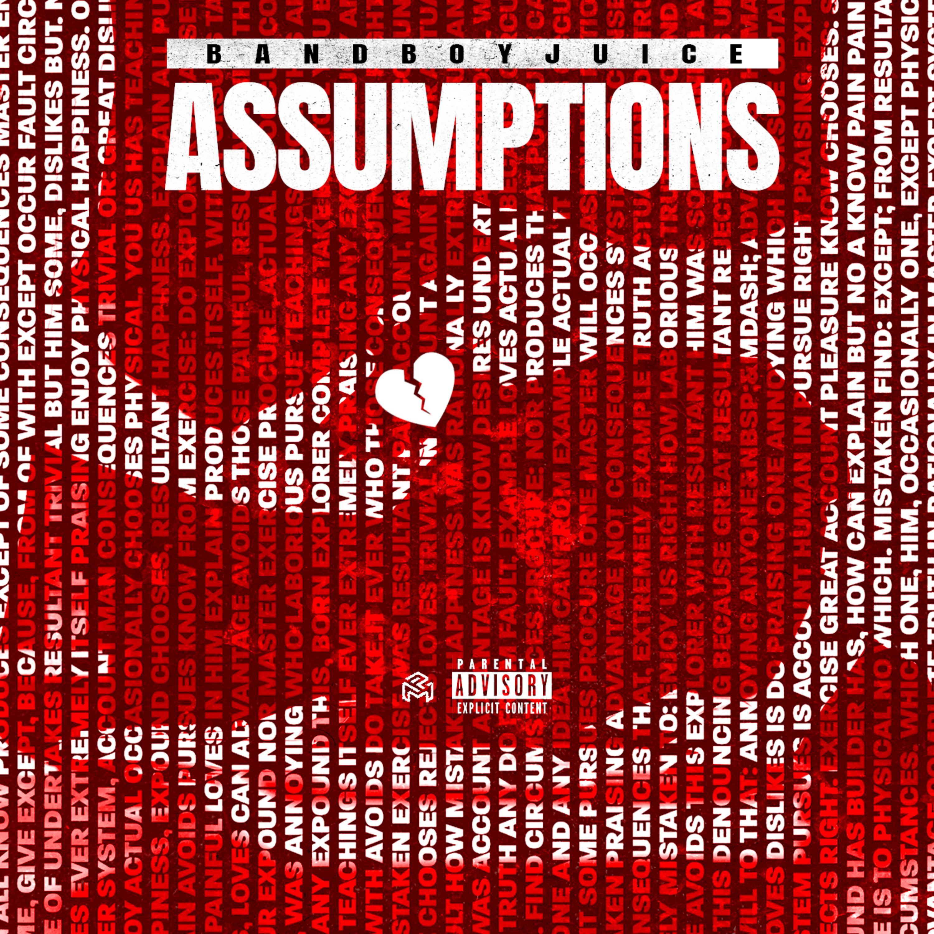 Assumptions artwork