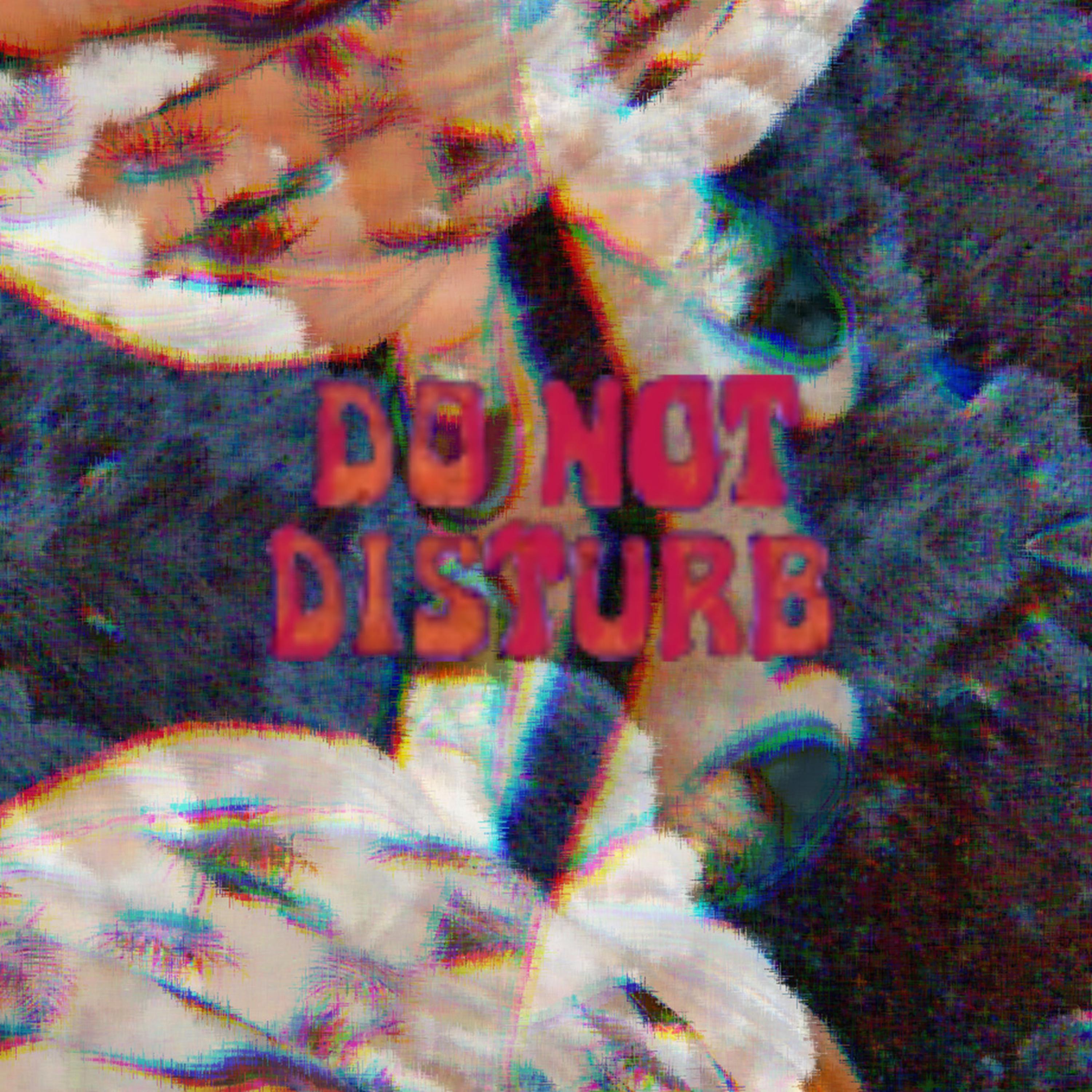 Do Not Disturb artwork