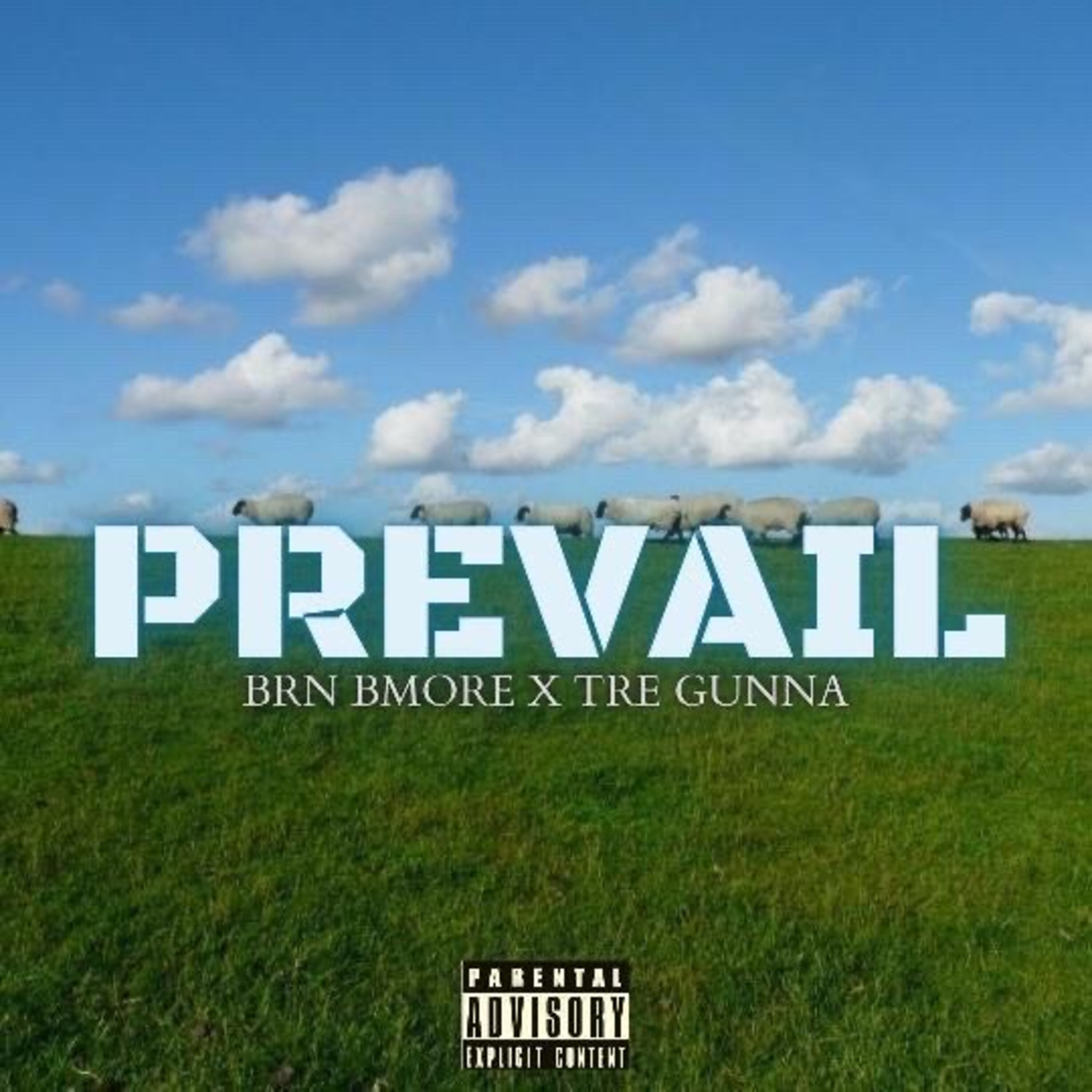 Prevail artwork