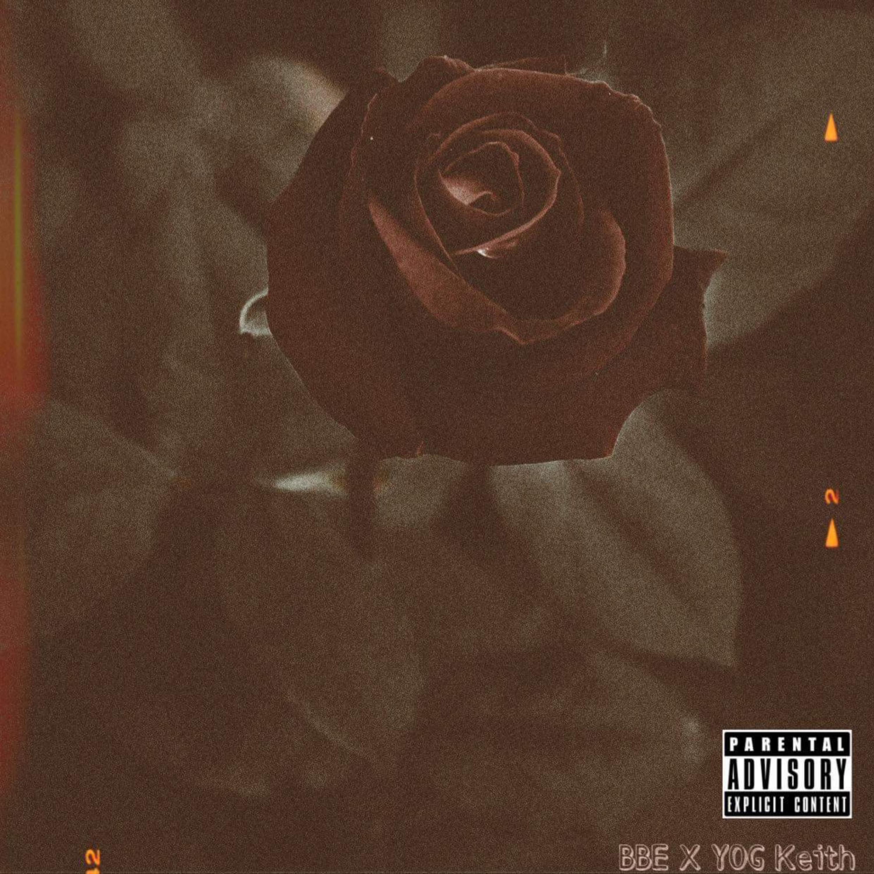 Red Roses artwork