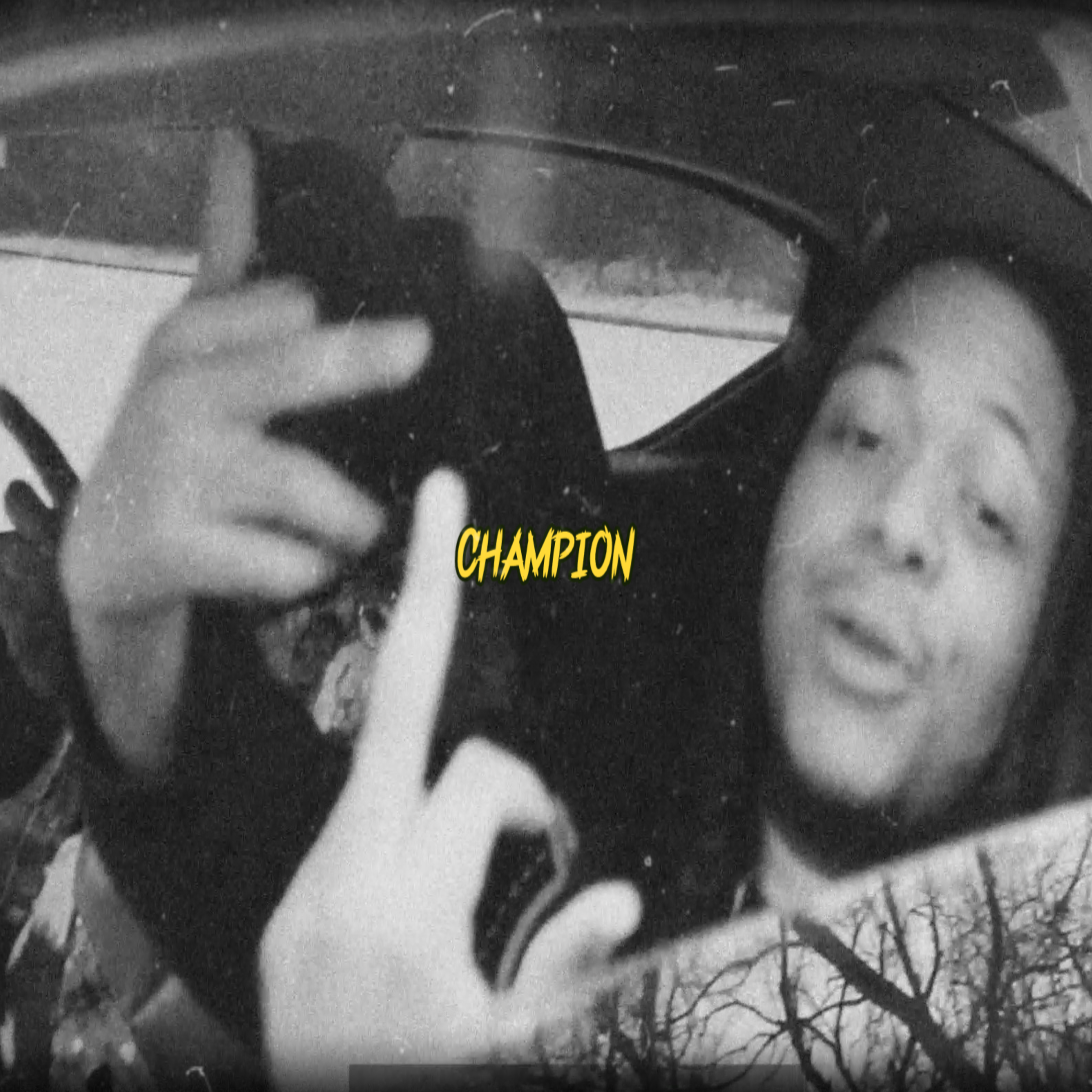 Champion artwork