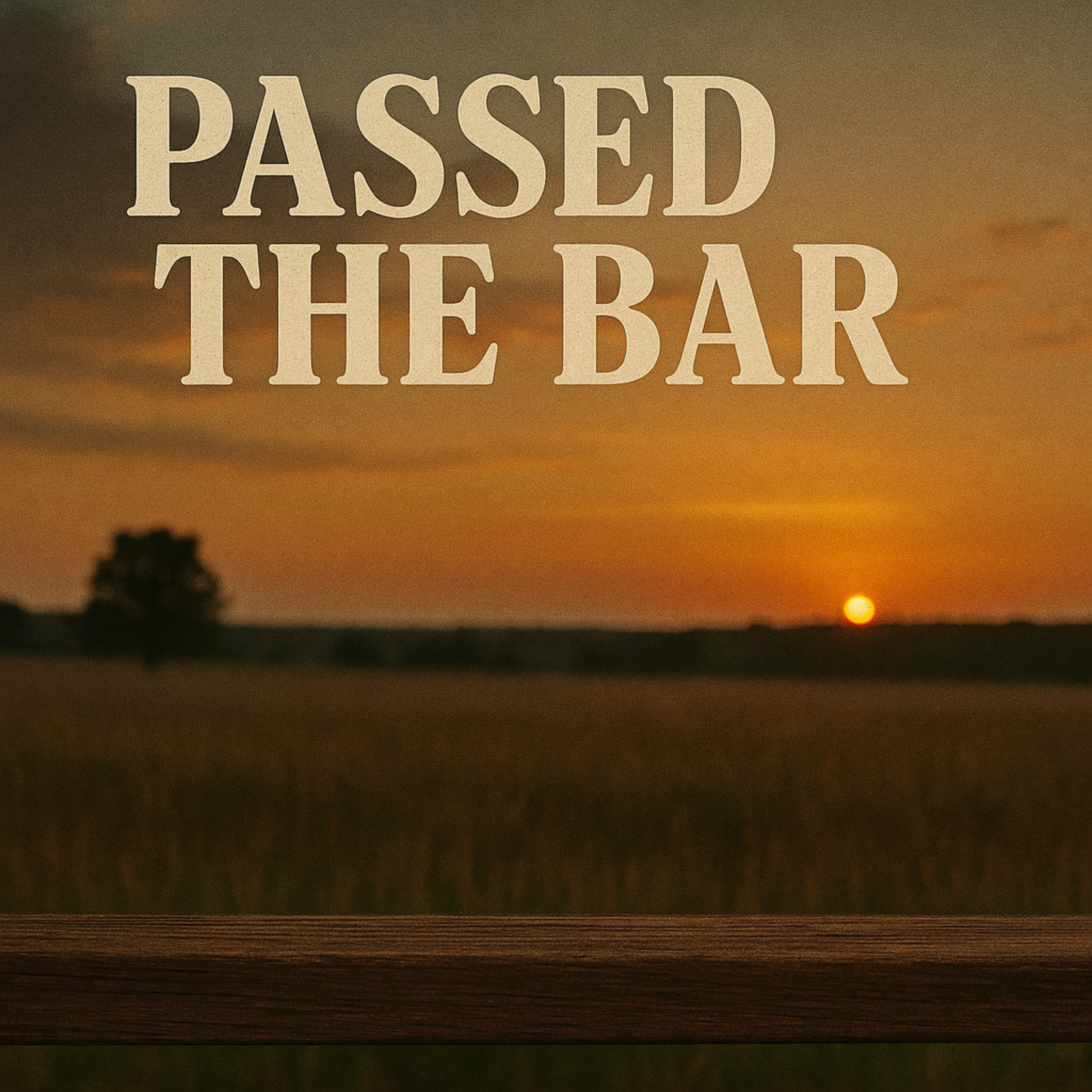 Passed The Bar artwork