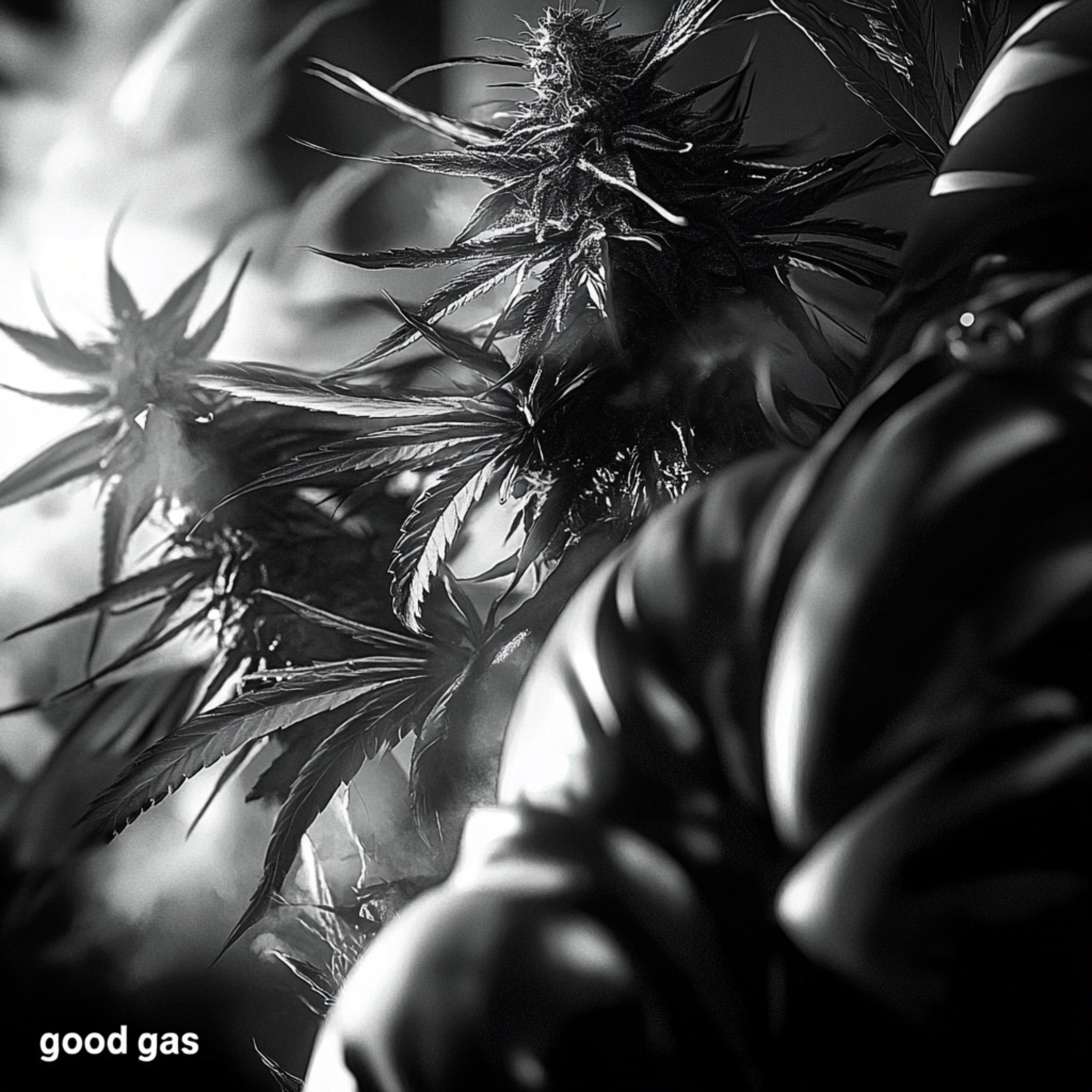 Good Gas by TrippyPanda cover art