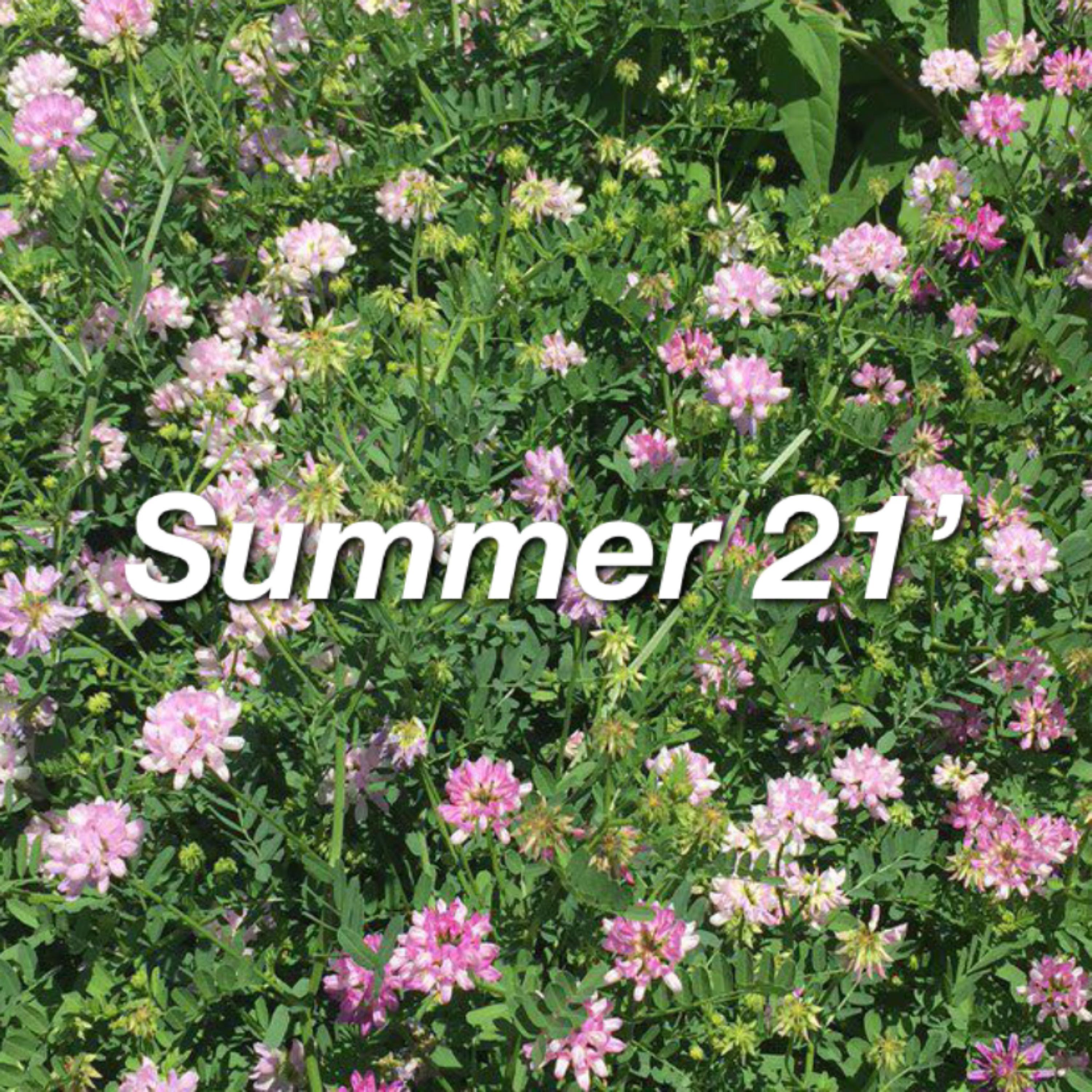 Summer 21' artwork