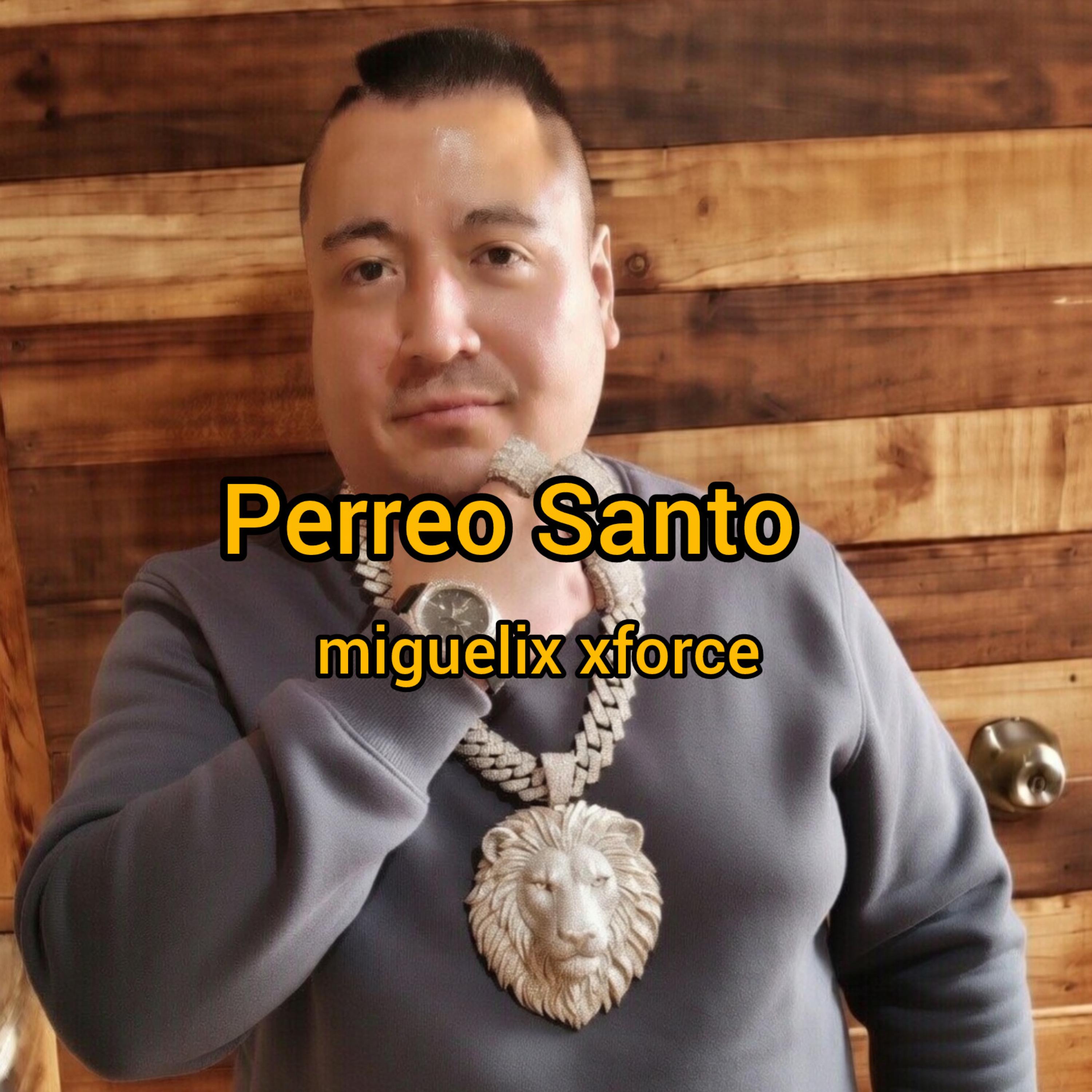 4 Perreo Santo artwork