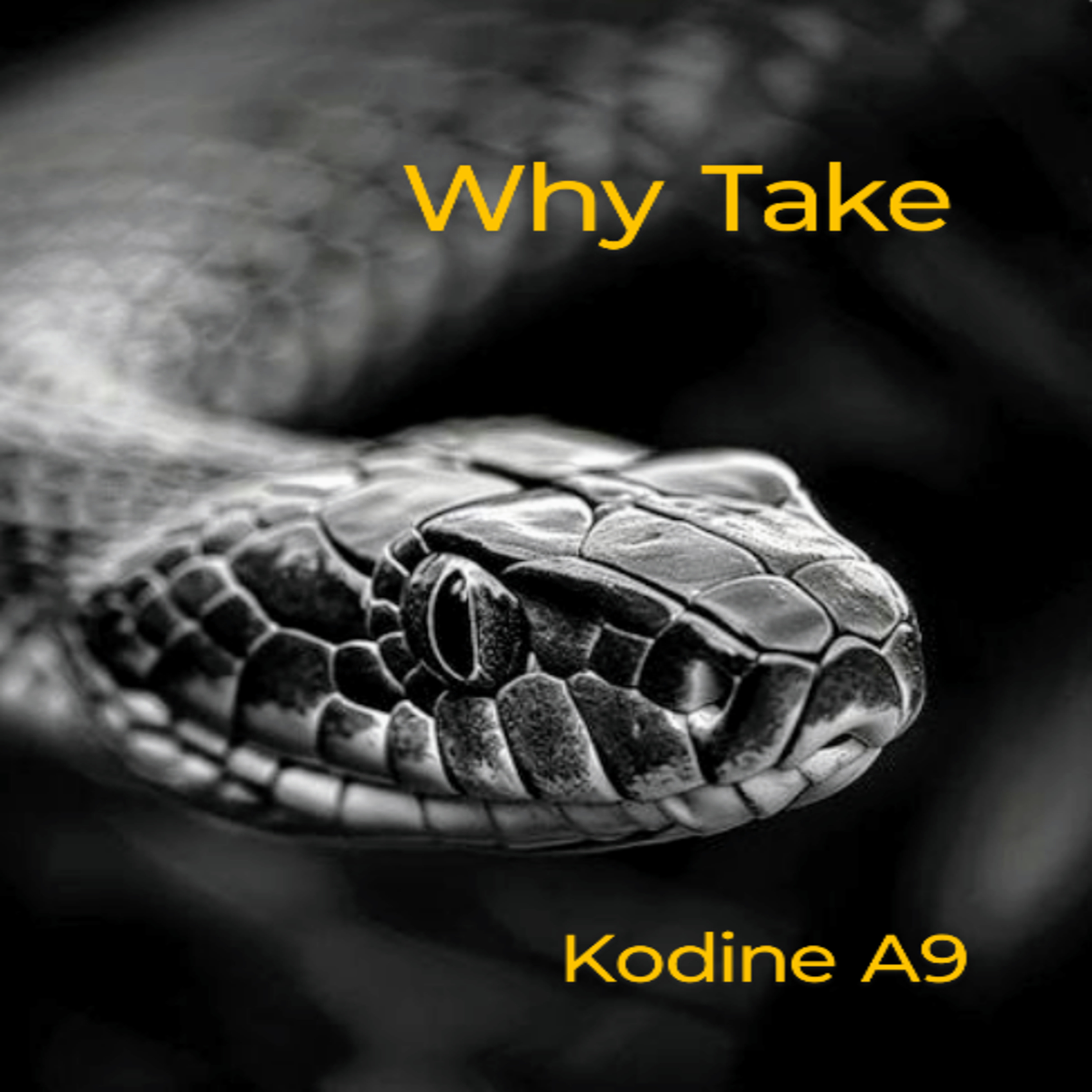 Why Take by Kodine A9 cover art