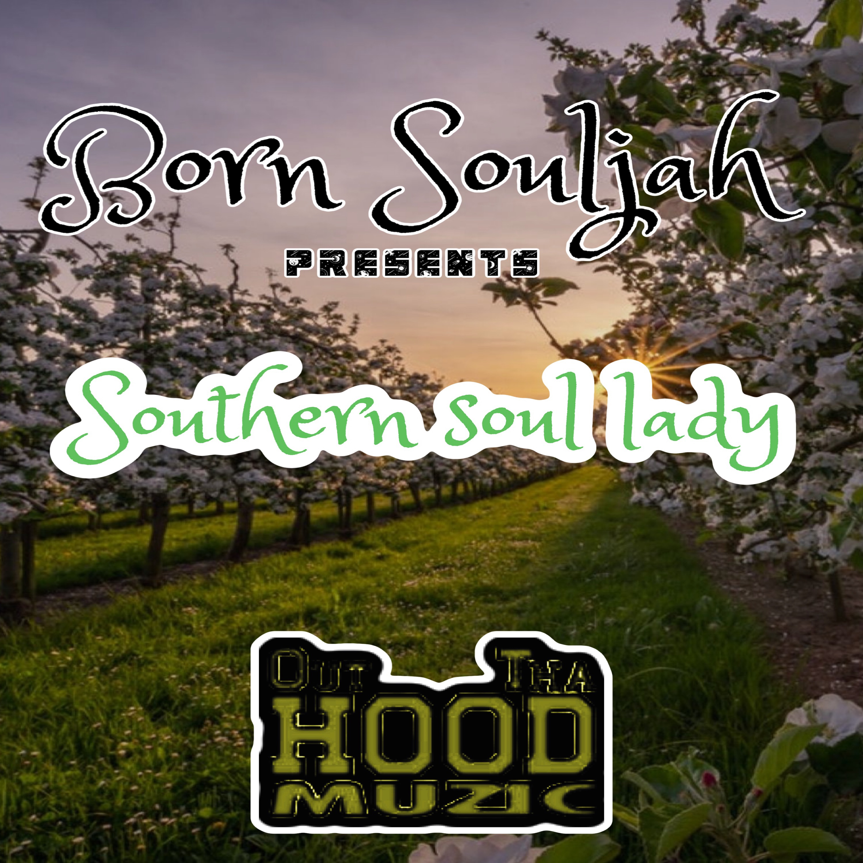 Southern Soul Lady artwork