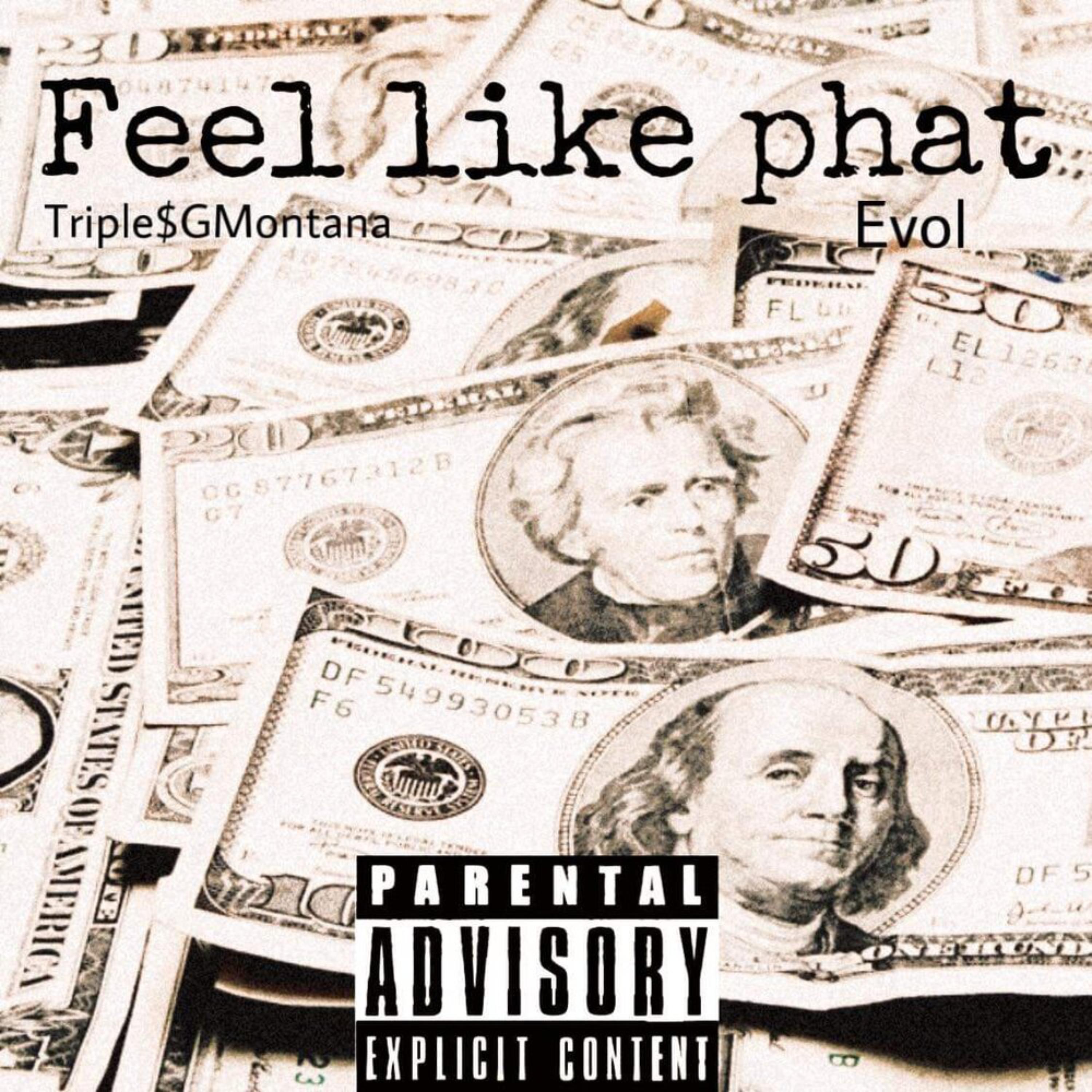 Feel Like Phat artwork