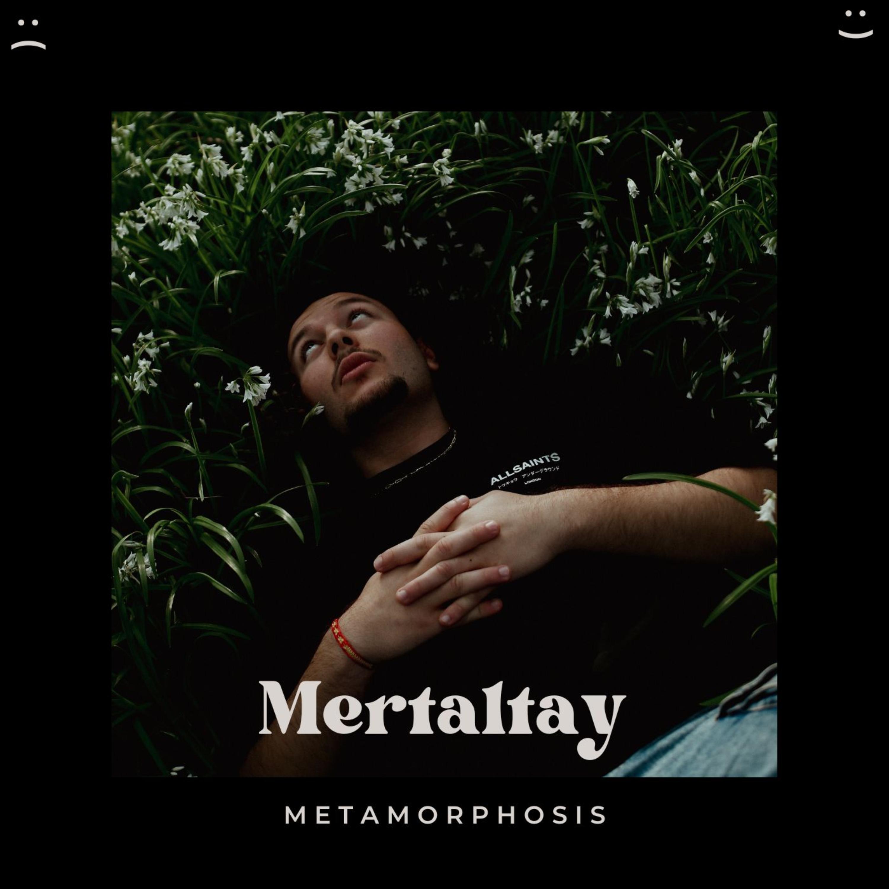 Metamorphosis artwork