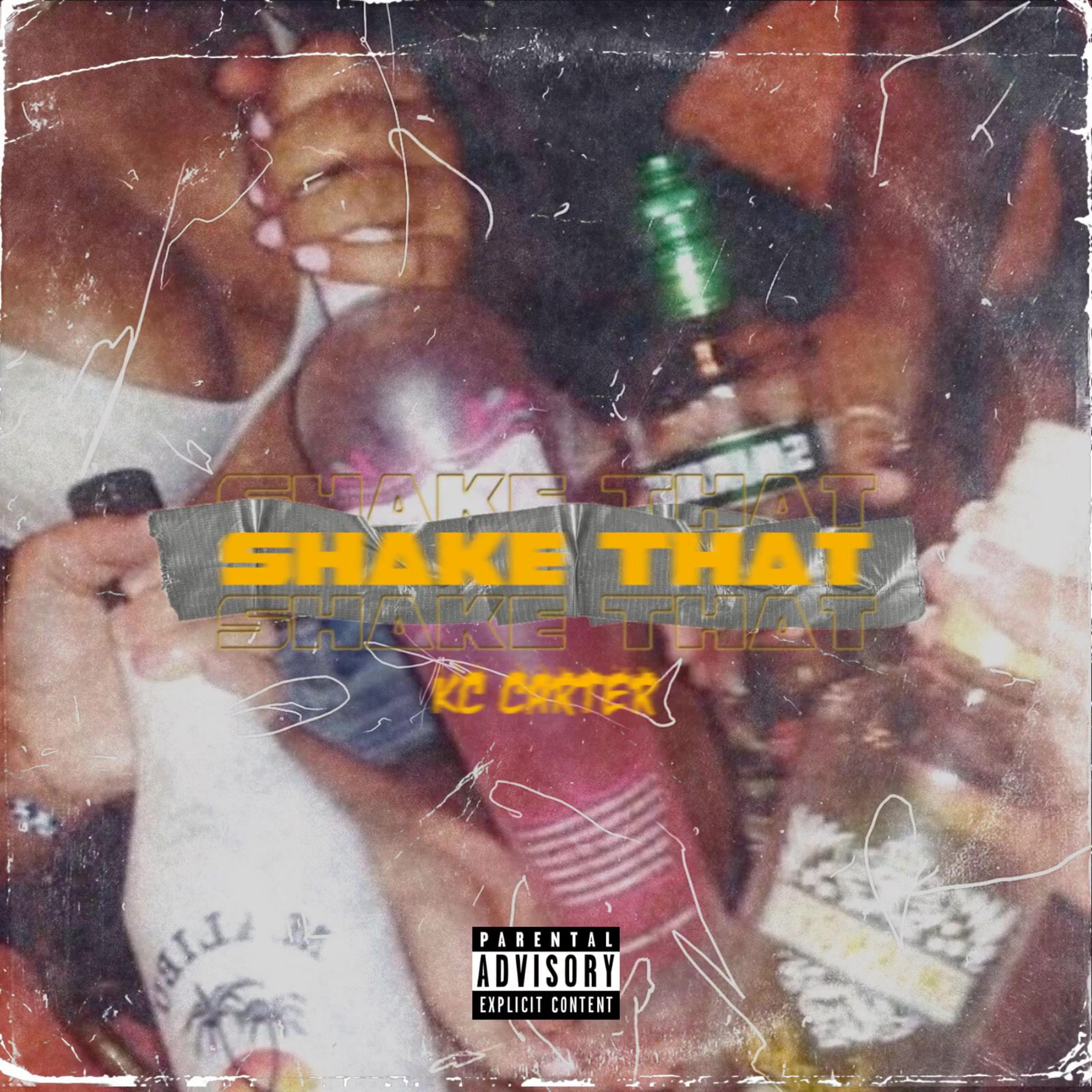 Shake That artwork
