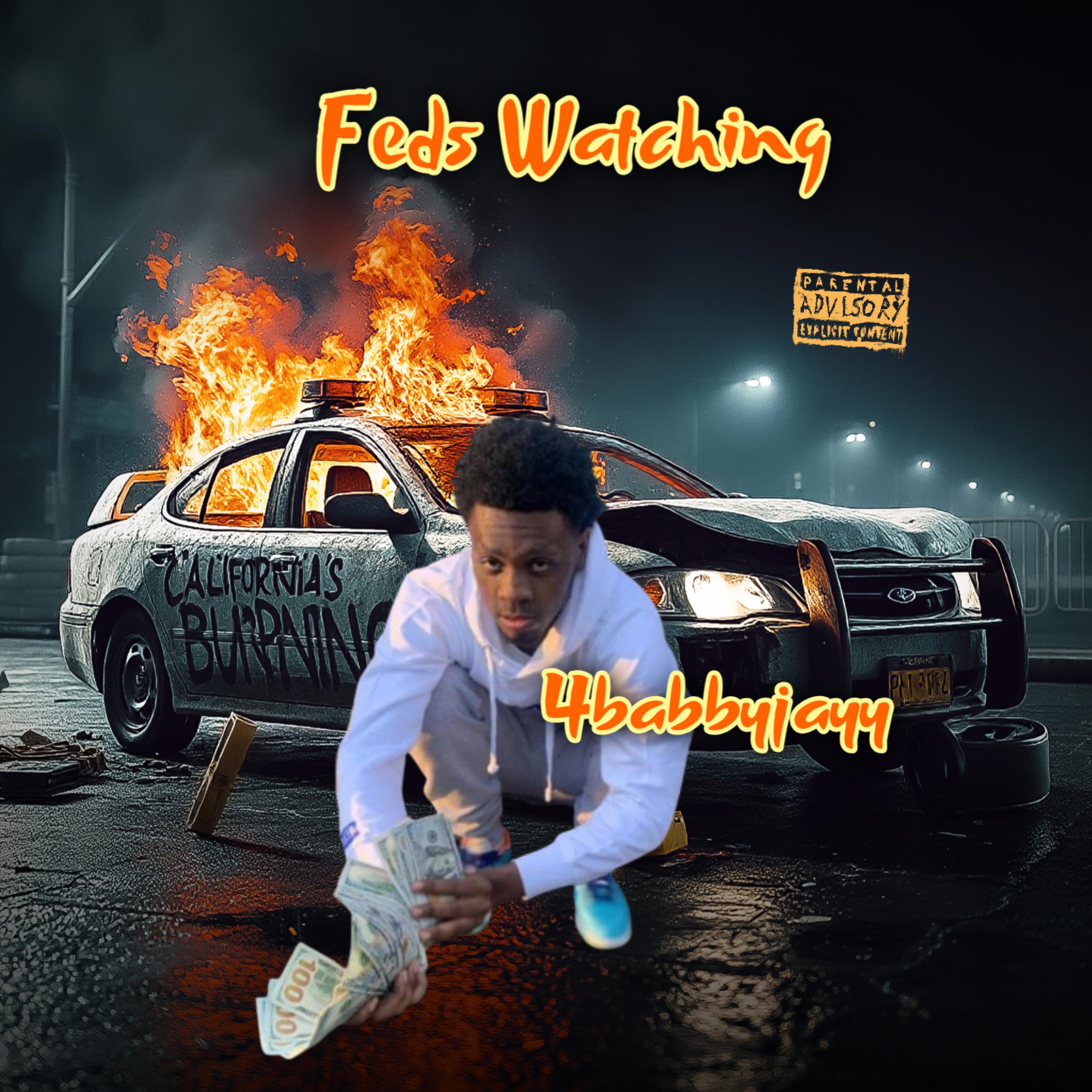 Feds Watching artwork