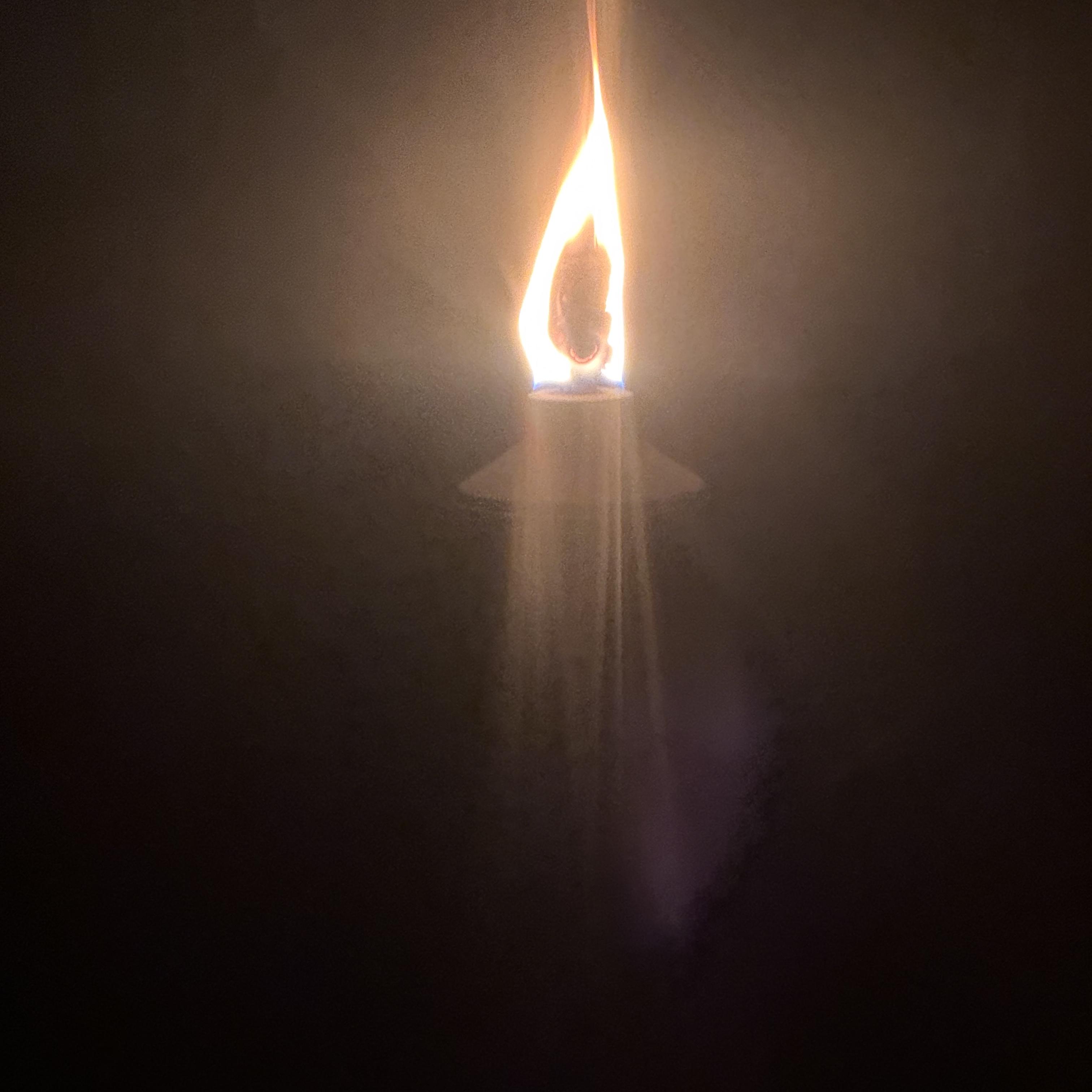 Wild Flame artwork