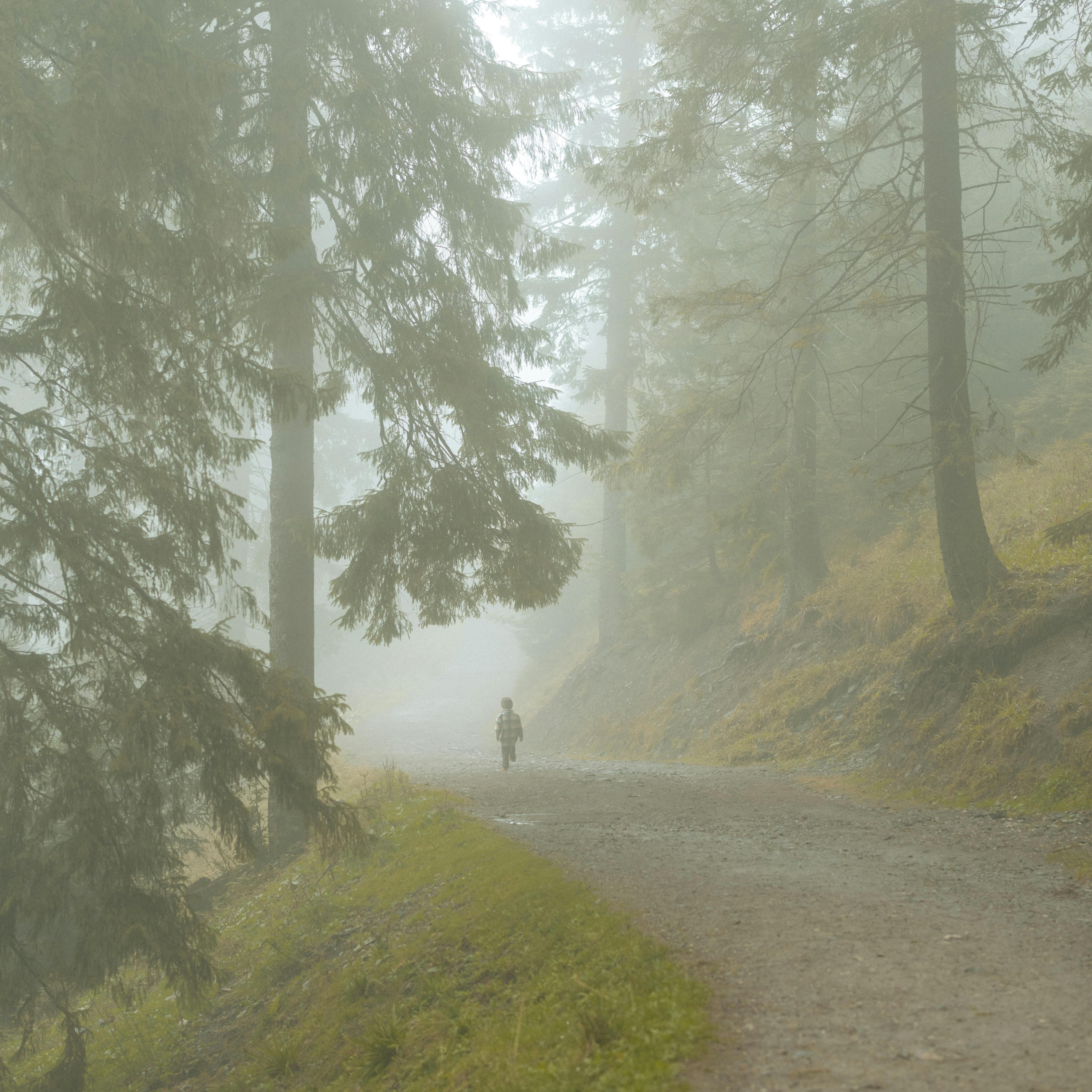 Sombra En El Camino artwork