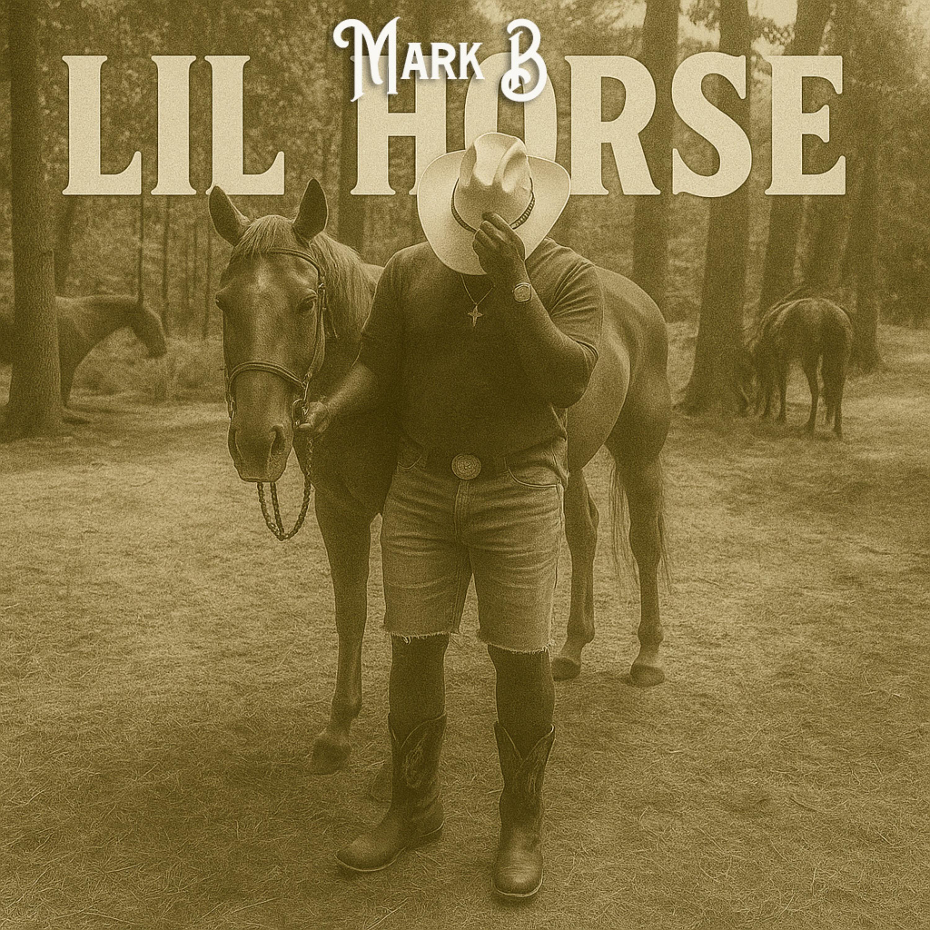 LiL Horse artwork