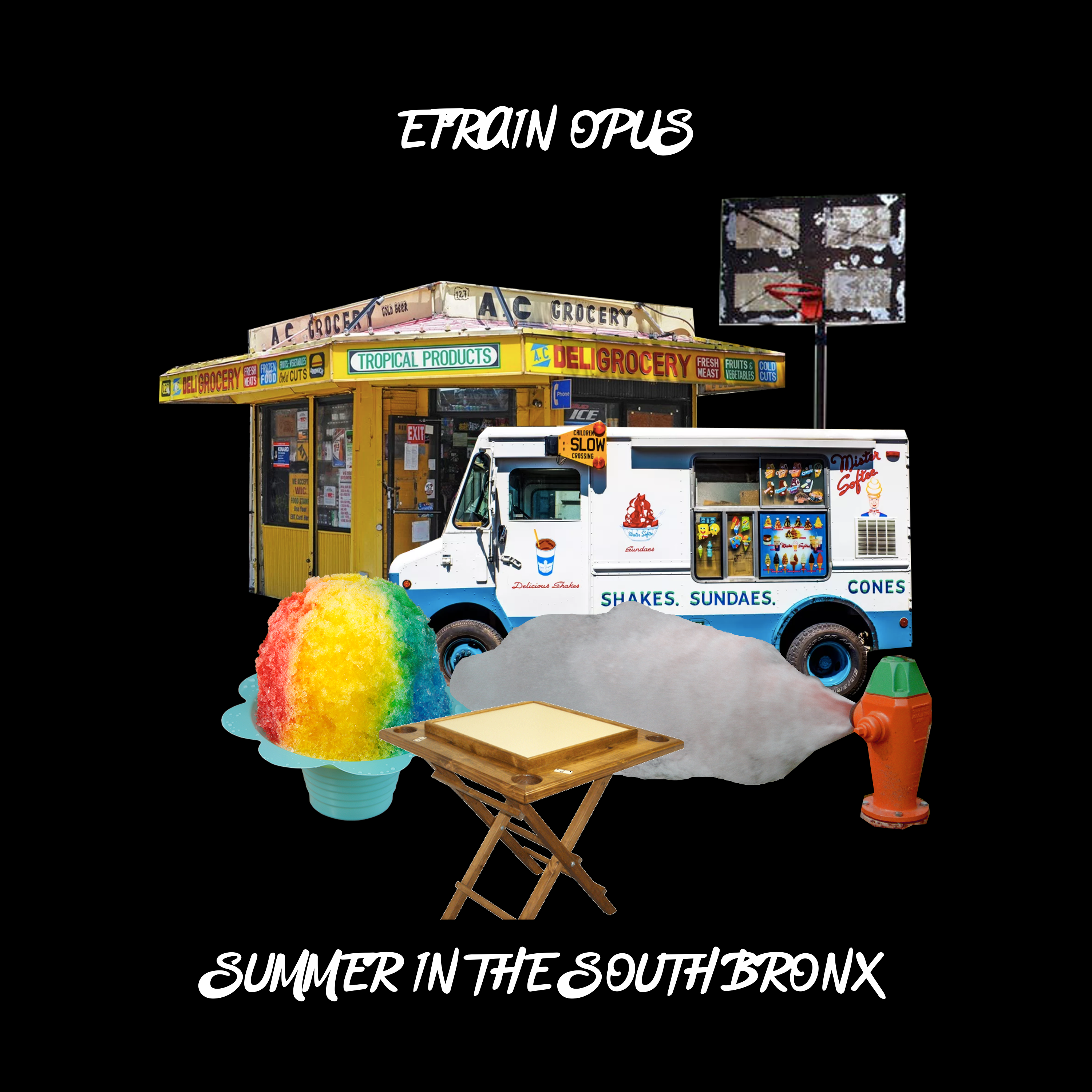 Summer in the South Bronx artwork