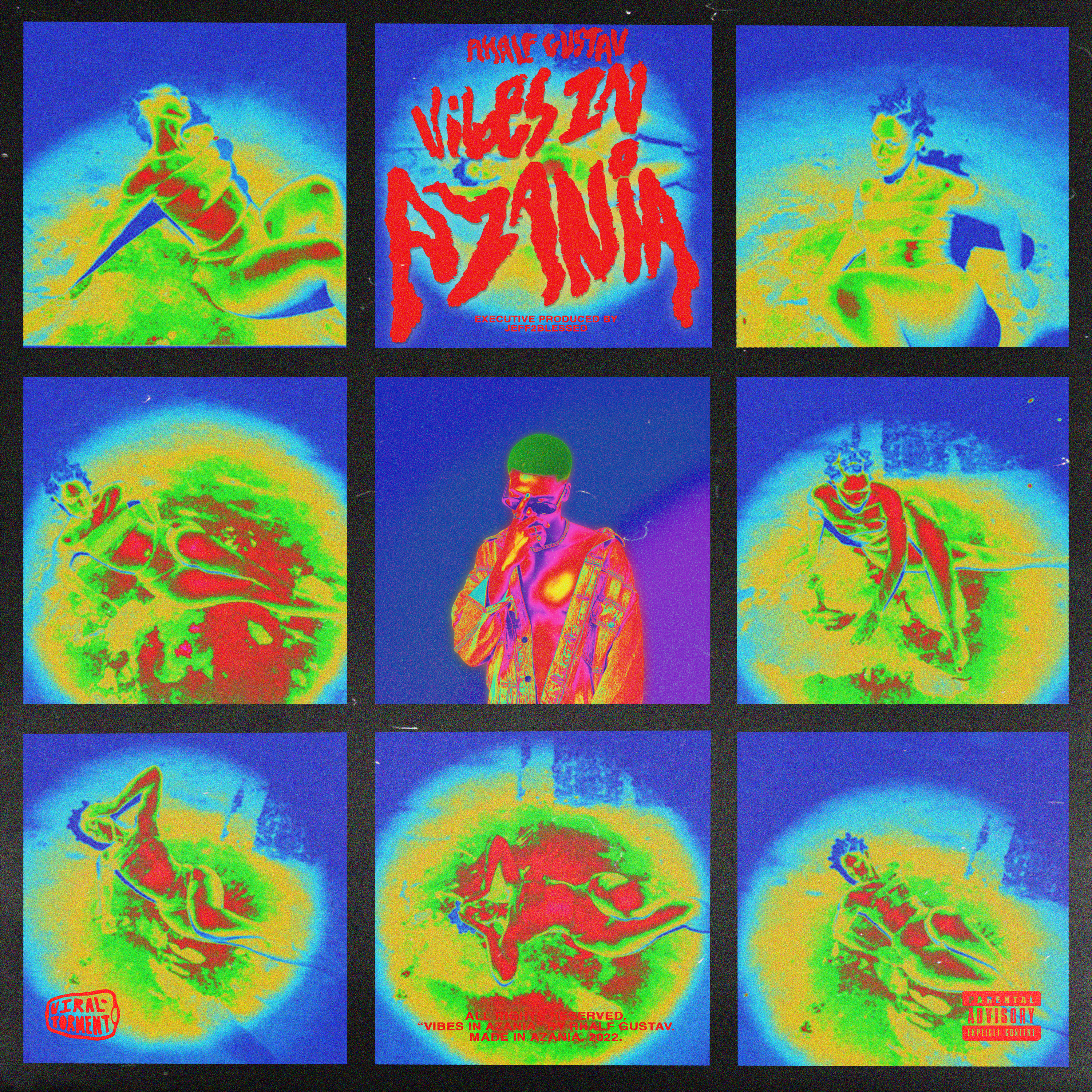 VIBES IN AZANIA artwork