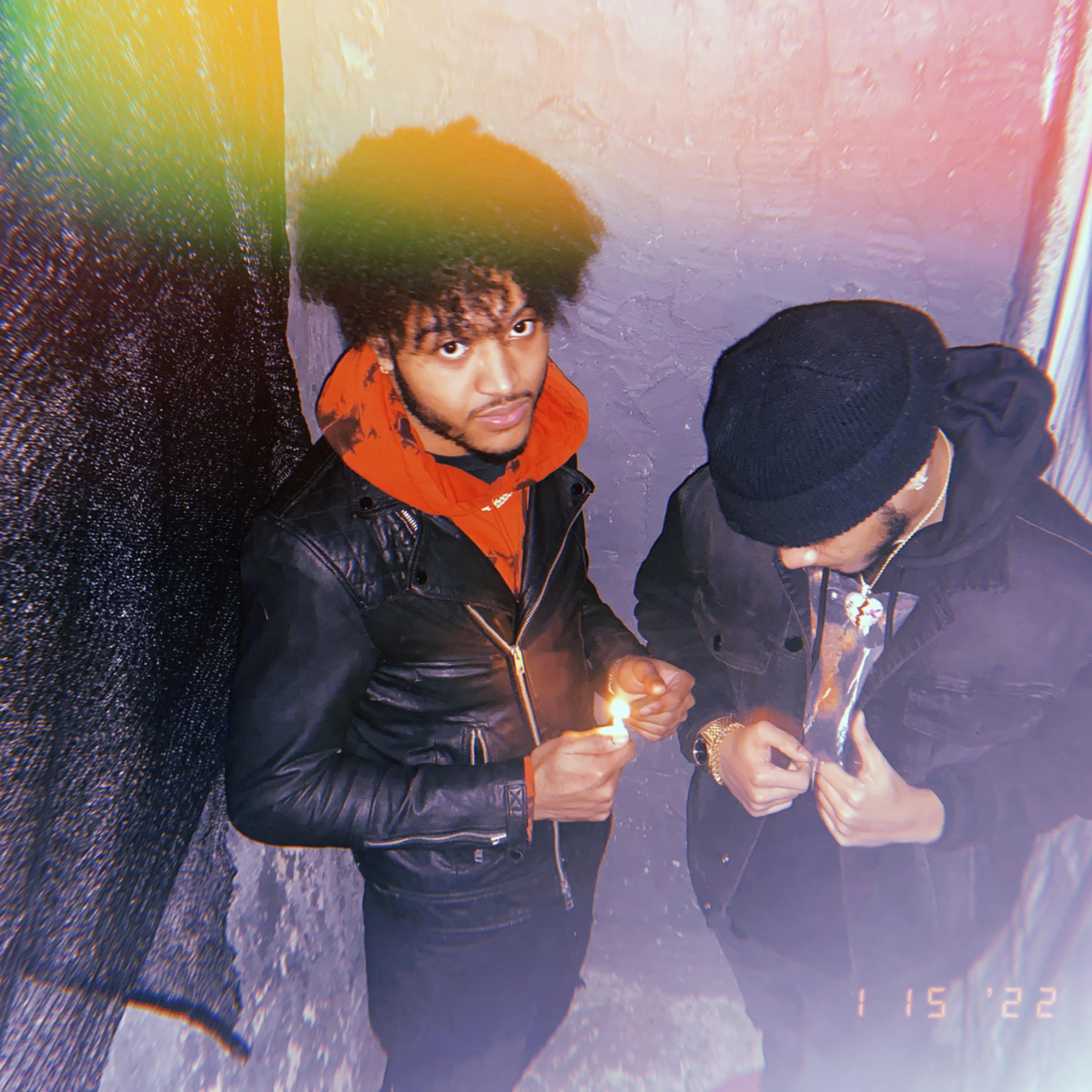 LUVISFAKE artwork