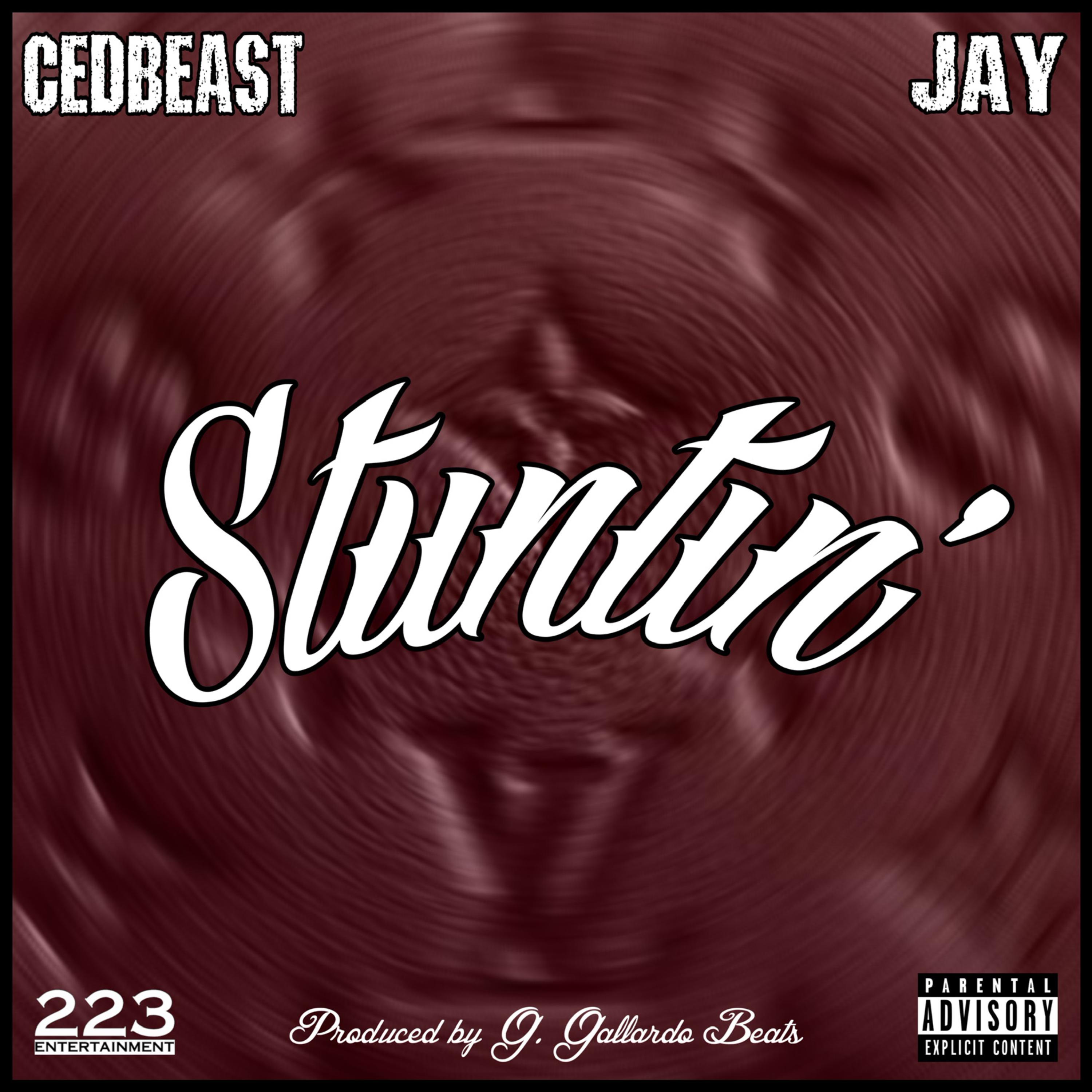 Stuntin' artwork