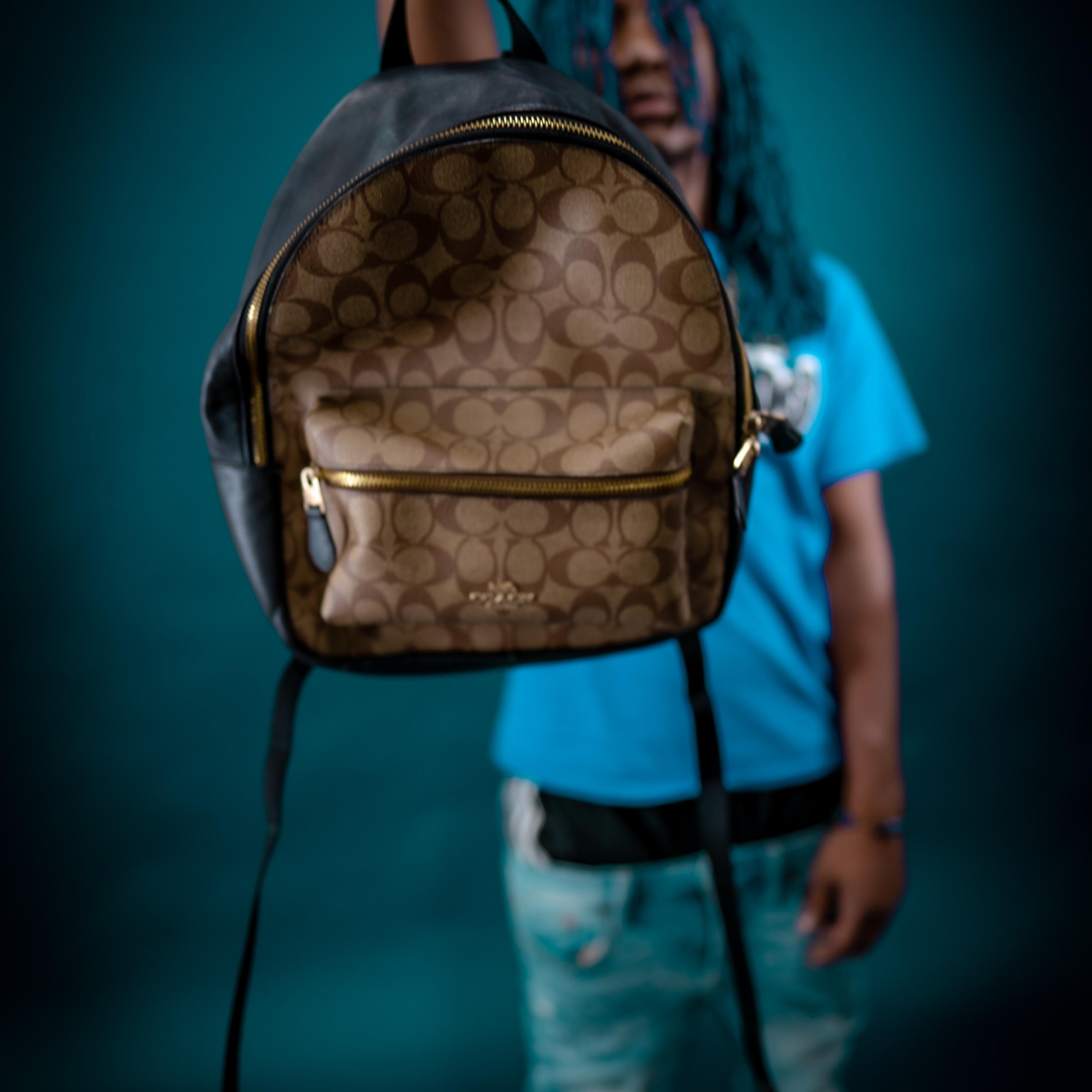The Bag Files artwork