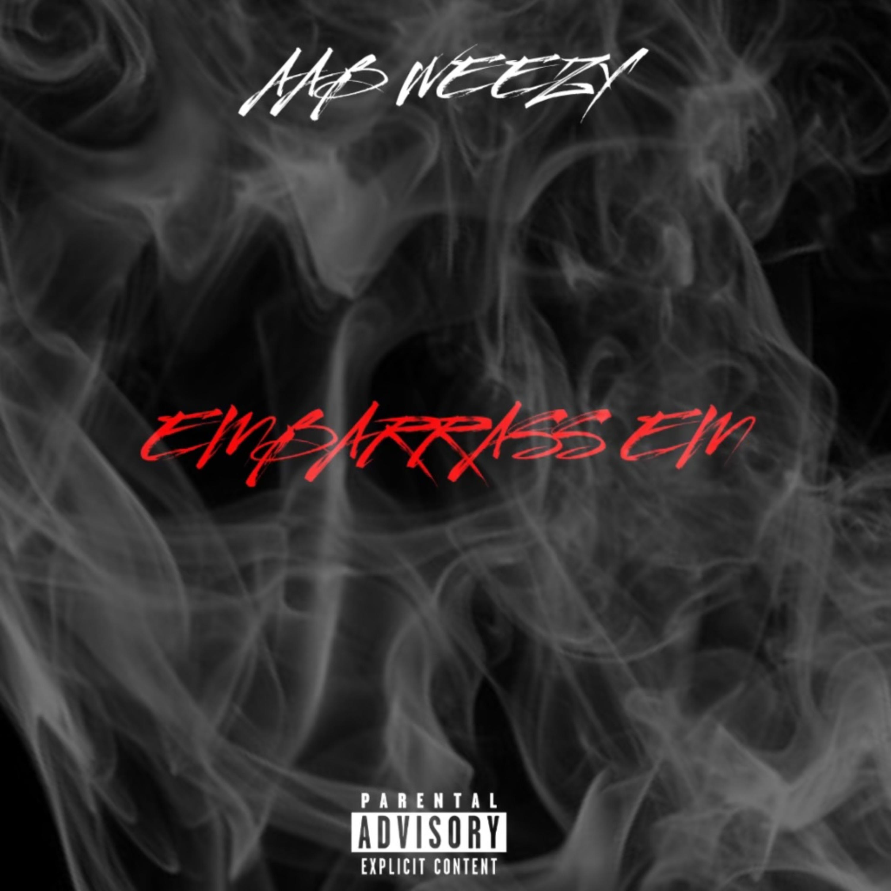 Embarrass Em artwork