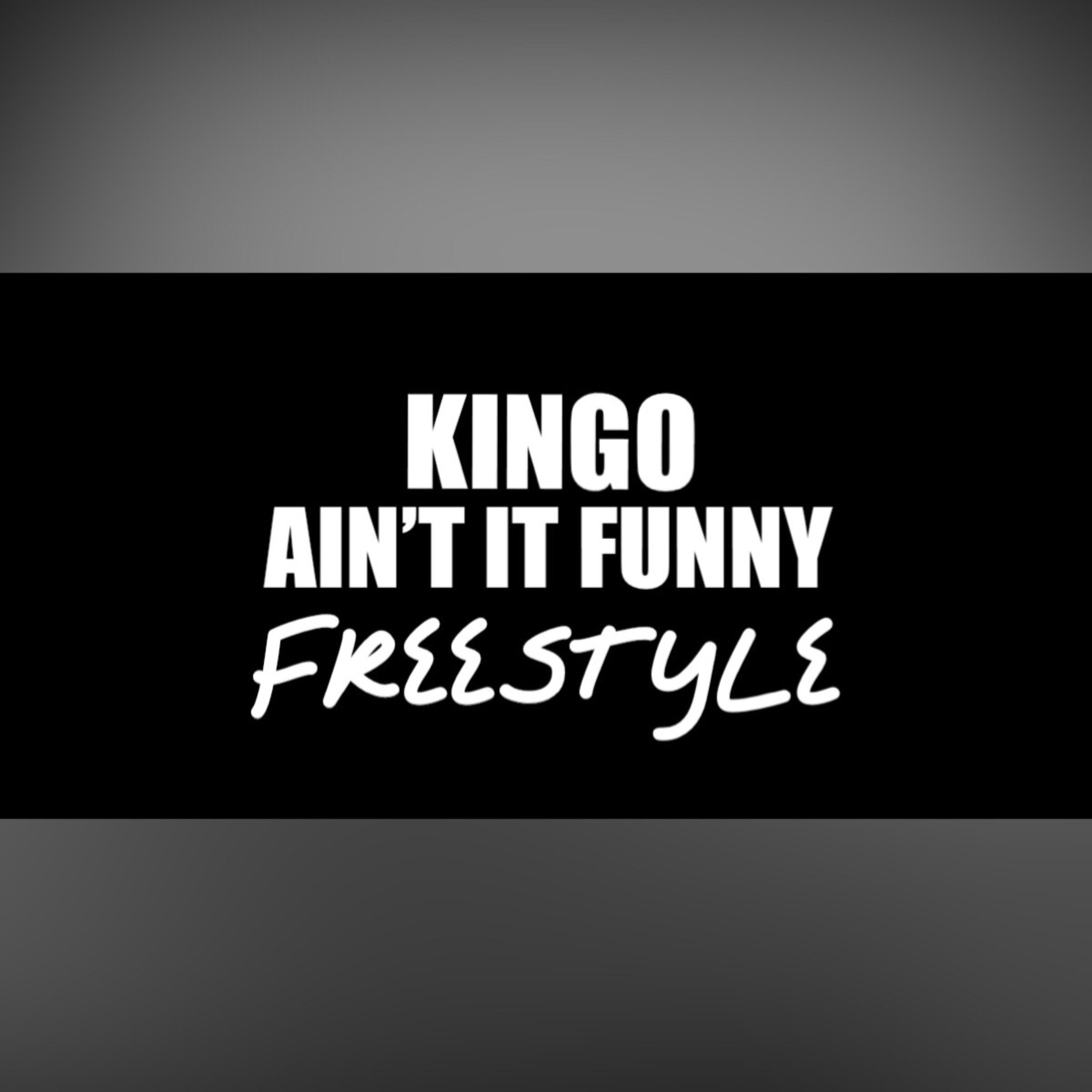 Aint It Funny Freestyle by Wildeast cover art