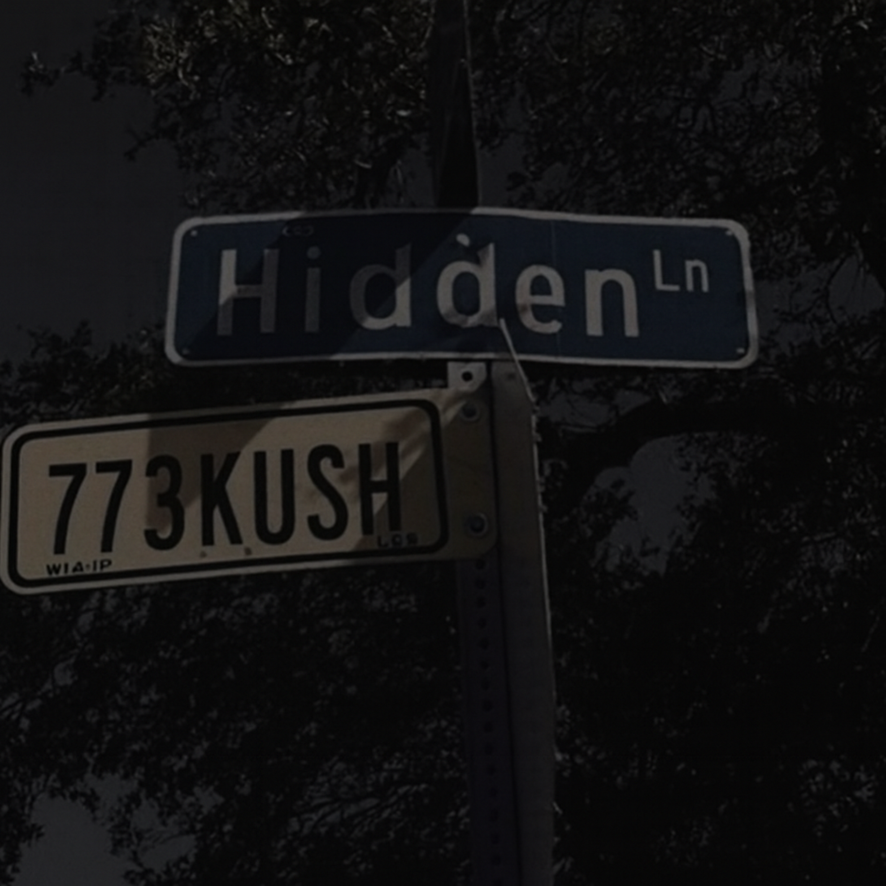 Hidden artwork