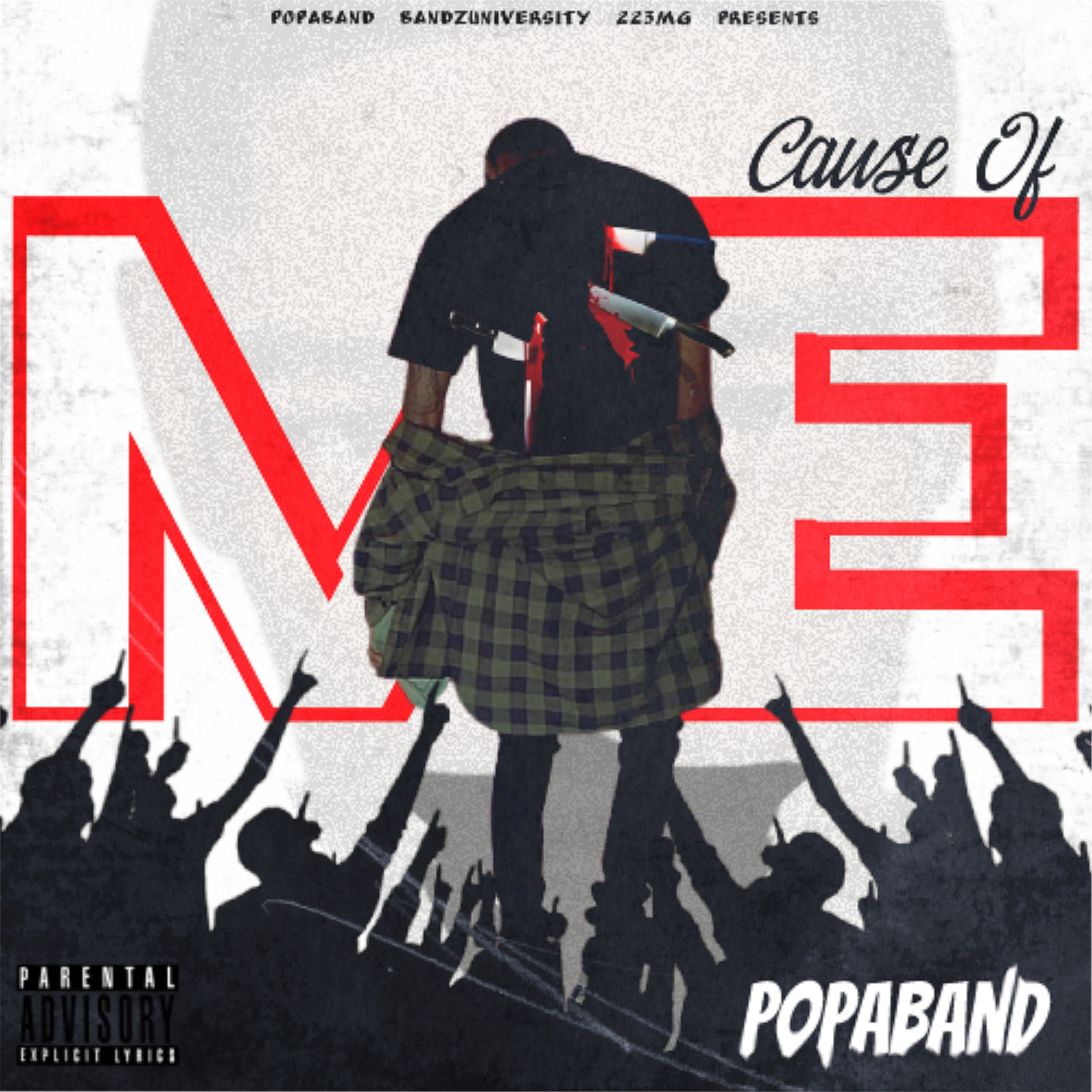 Cause Of Me artwork