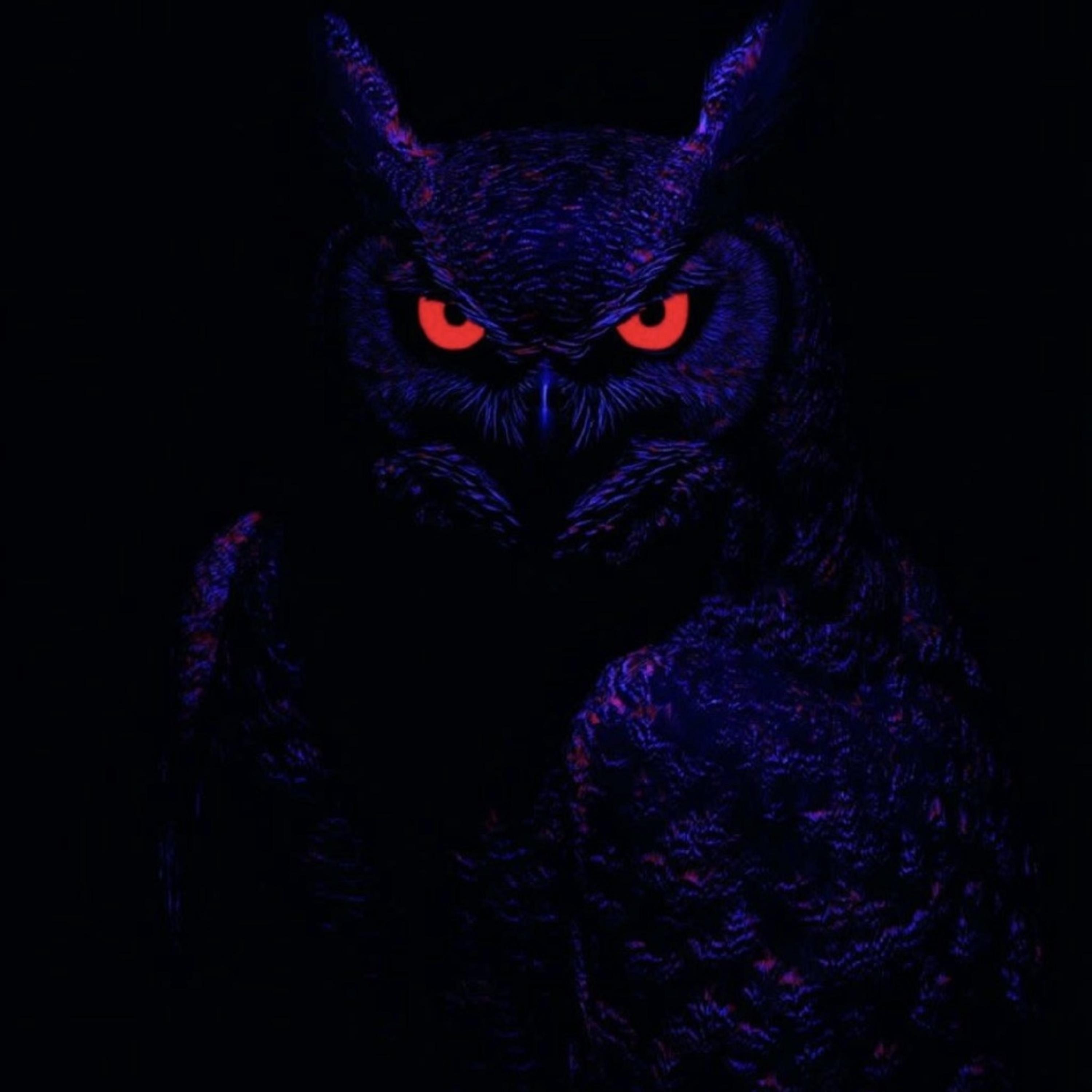 OBO artwork
